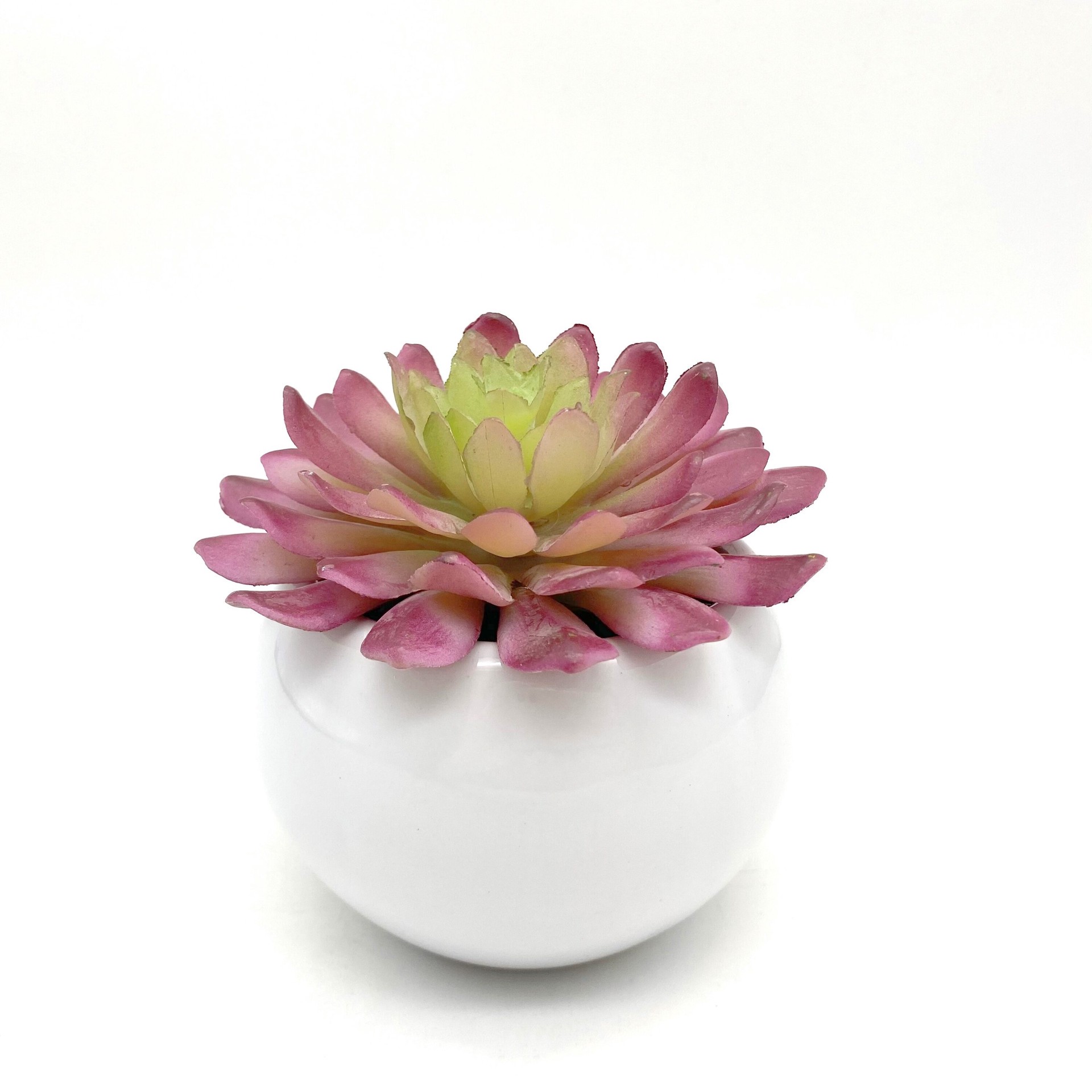 slide 5 of 6, Nearly Natural 5-in Green Indoor Desktop Succulent Artificial plant, 1 ct