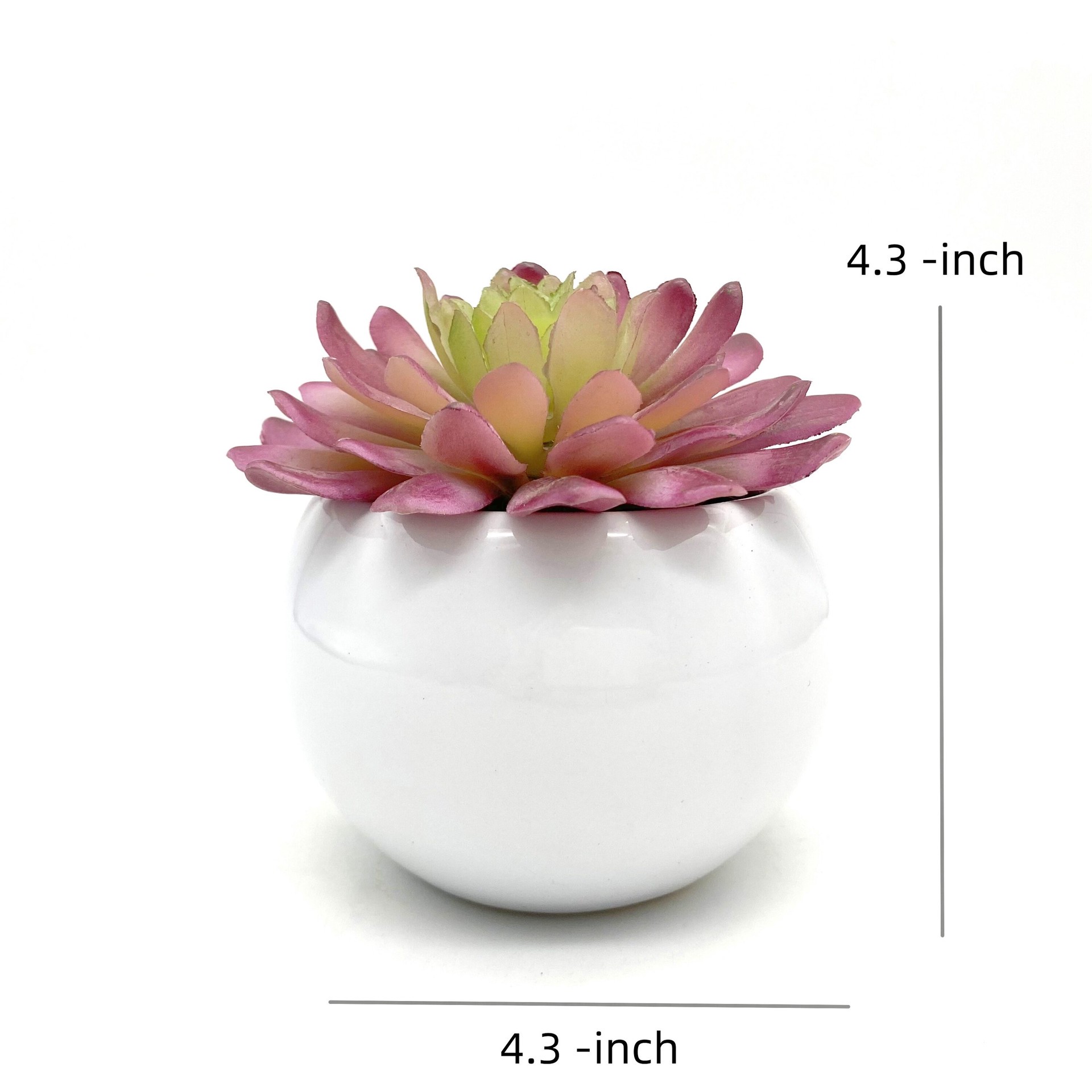 slide 6 of 6, Nearly Natural 5-in Green Indoor Desktop Succulent Artificial plant, 1 ct
