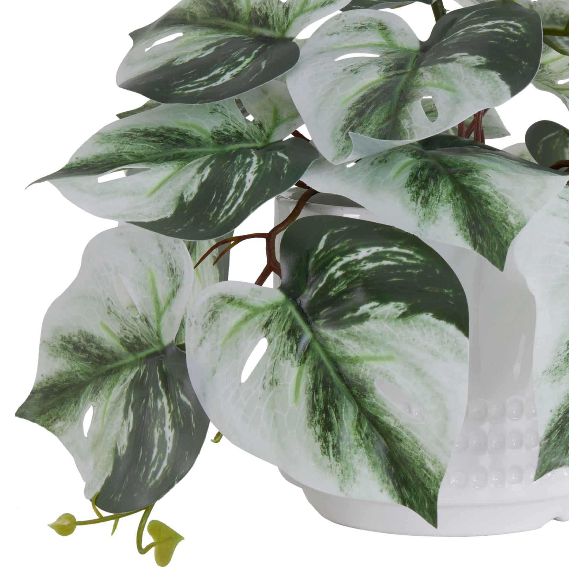 slide 2 of 6, Nearly Natural 6-in Green Indoor Desktop Mixed greenery Artificial plant, 1 ct