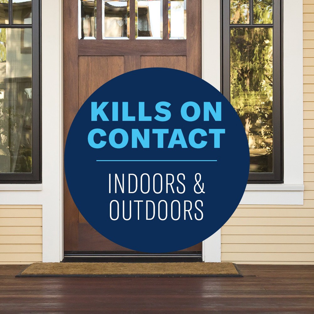 slide 3 of 6, BioAdvanced Carpenter Ant Termite 1.3 -Gallon Ready to Use Insect killer, 1 ct