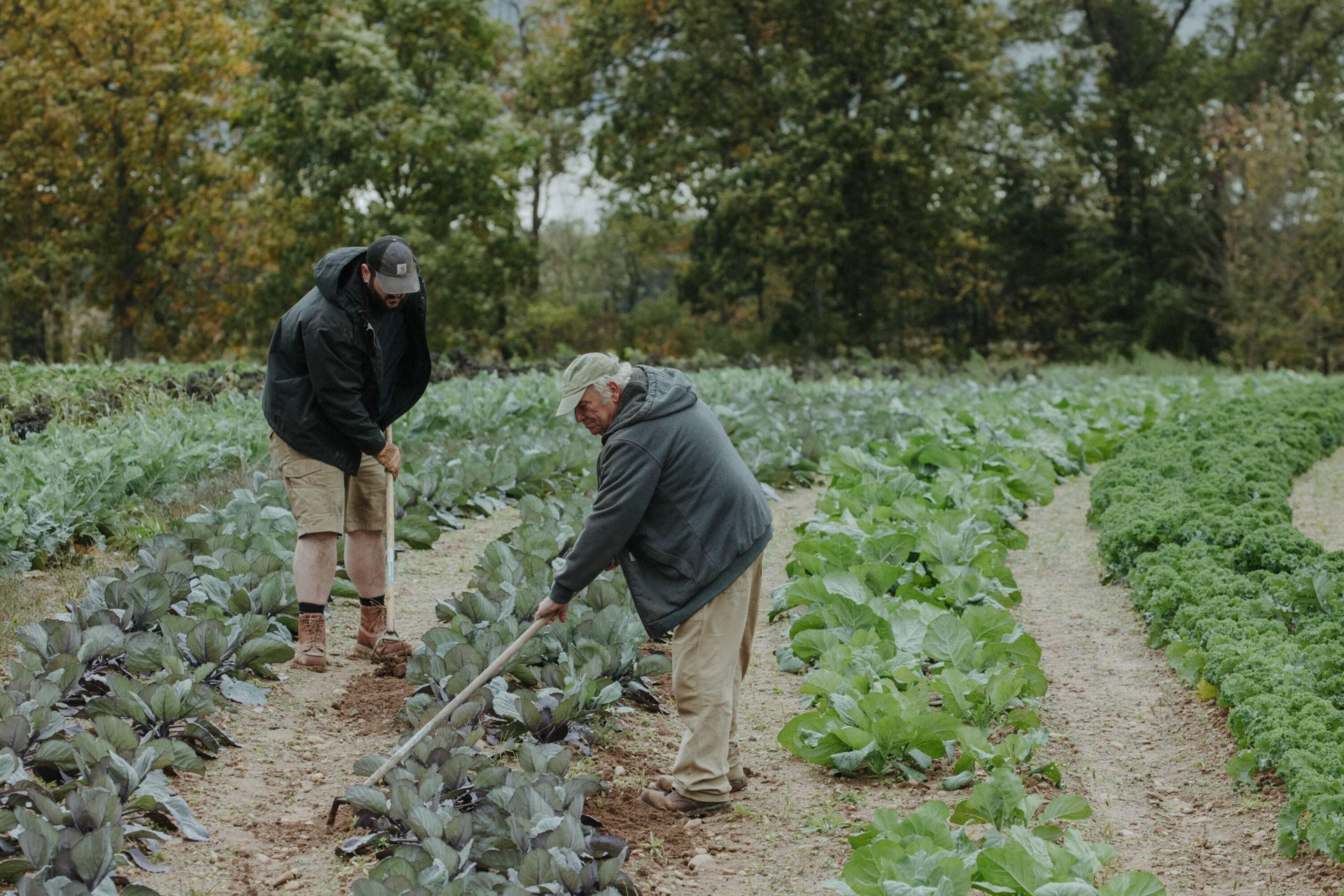 slide 4 of 5, Carhartt Men's Dark Khaki Cotton Baseball cap, 1 ct