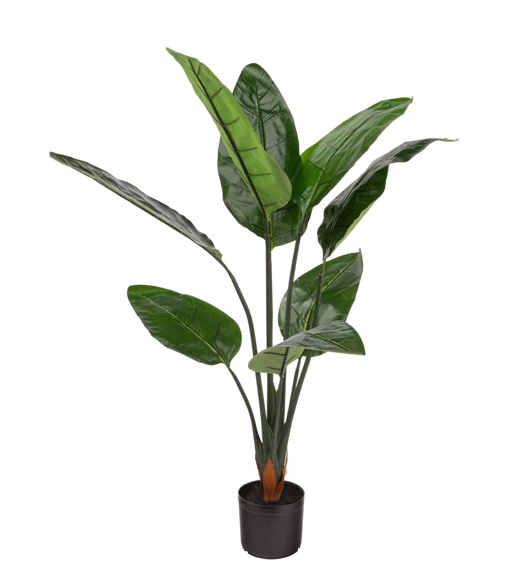 slide 1 of 6, naturae decor 45-in Green Indoor/Outdoor Floor Bird of Paradise Artificial tree, 1 ct