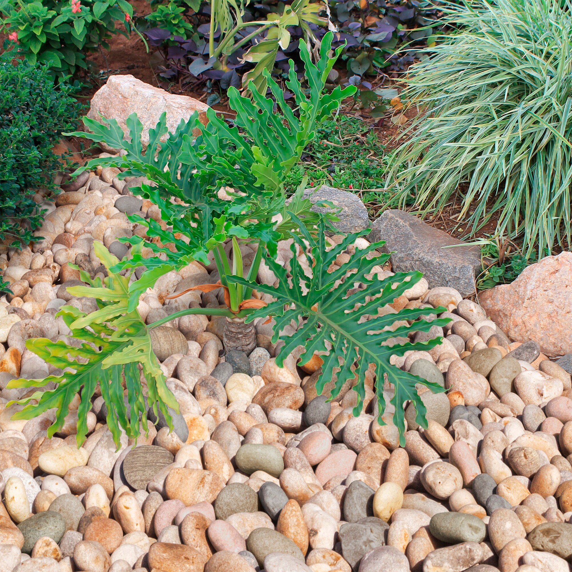 slide 3 of 5, WonderLand 0.4 cu ft Yellow Decorative rock (0.5 - 3-in), 1 ct