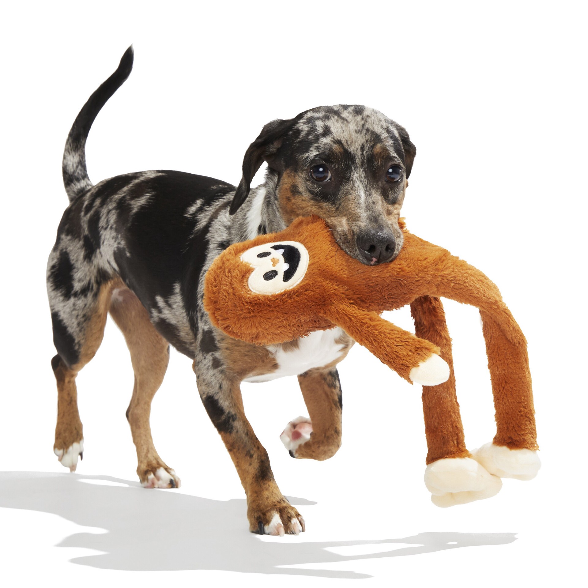slide 5 of 5, BARK Great Outdoors Plush Plush Dog Toy, 1 ct