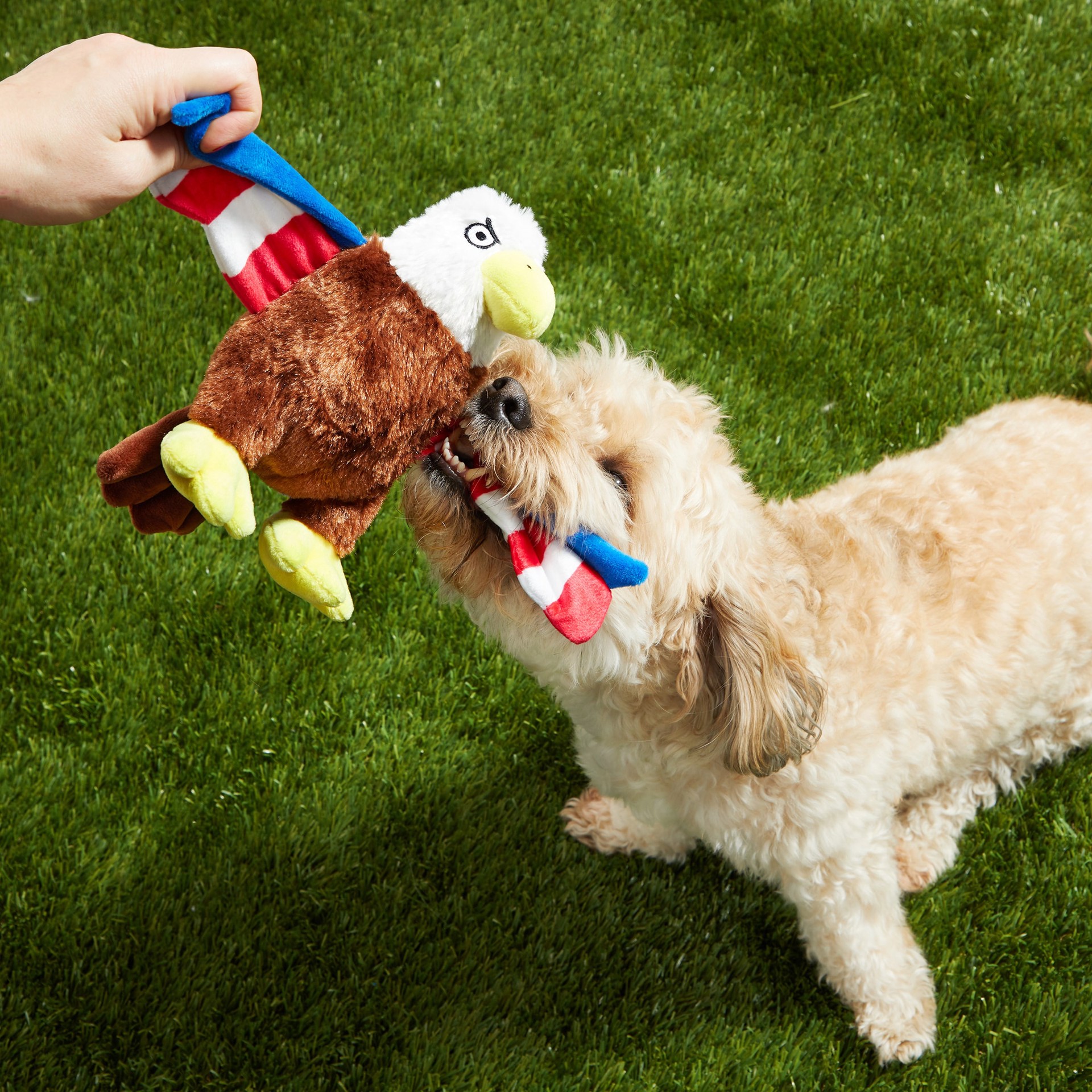 slide 3 of 6, BARK Best of Bark Box Plush Plush Dog Toy, 1 ct