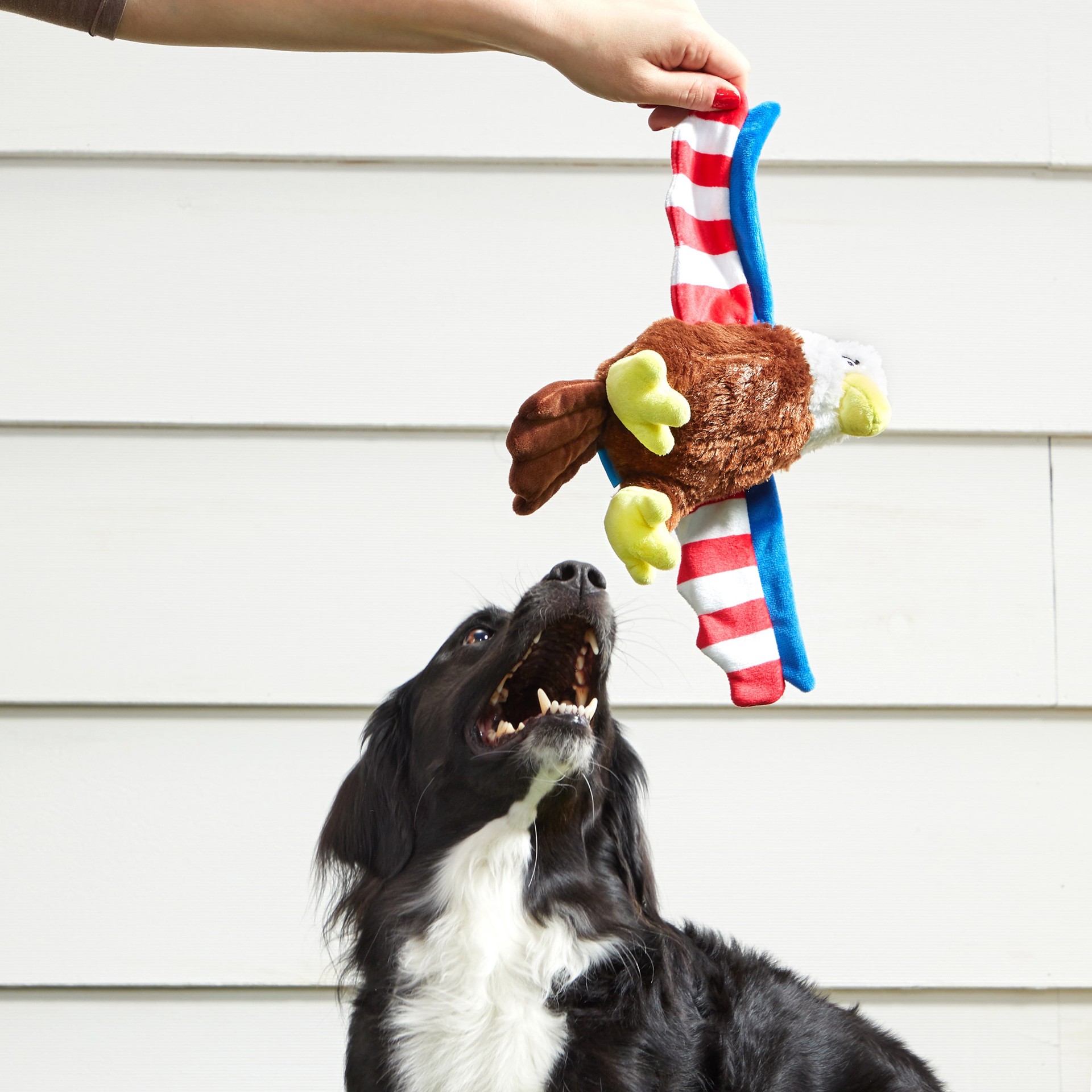 slide 4 of 6, BARK Best of Bark Box Plush Plush Dog Toy, 1 ct
