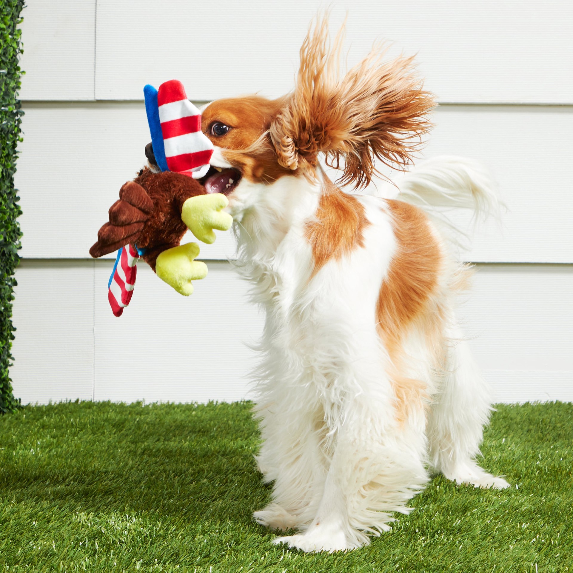 slide 5 of 6, BARK Best of Bark Box Plush Plush Dog Toy, 1 ct