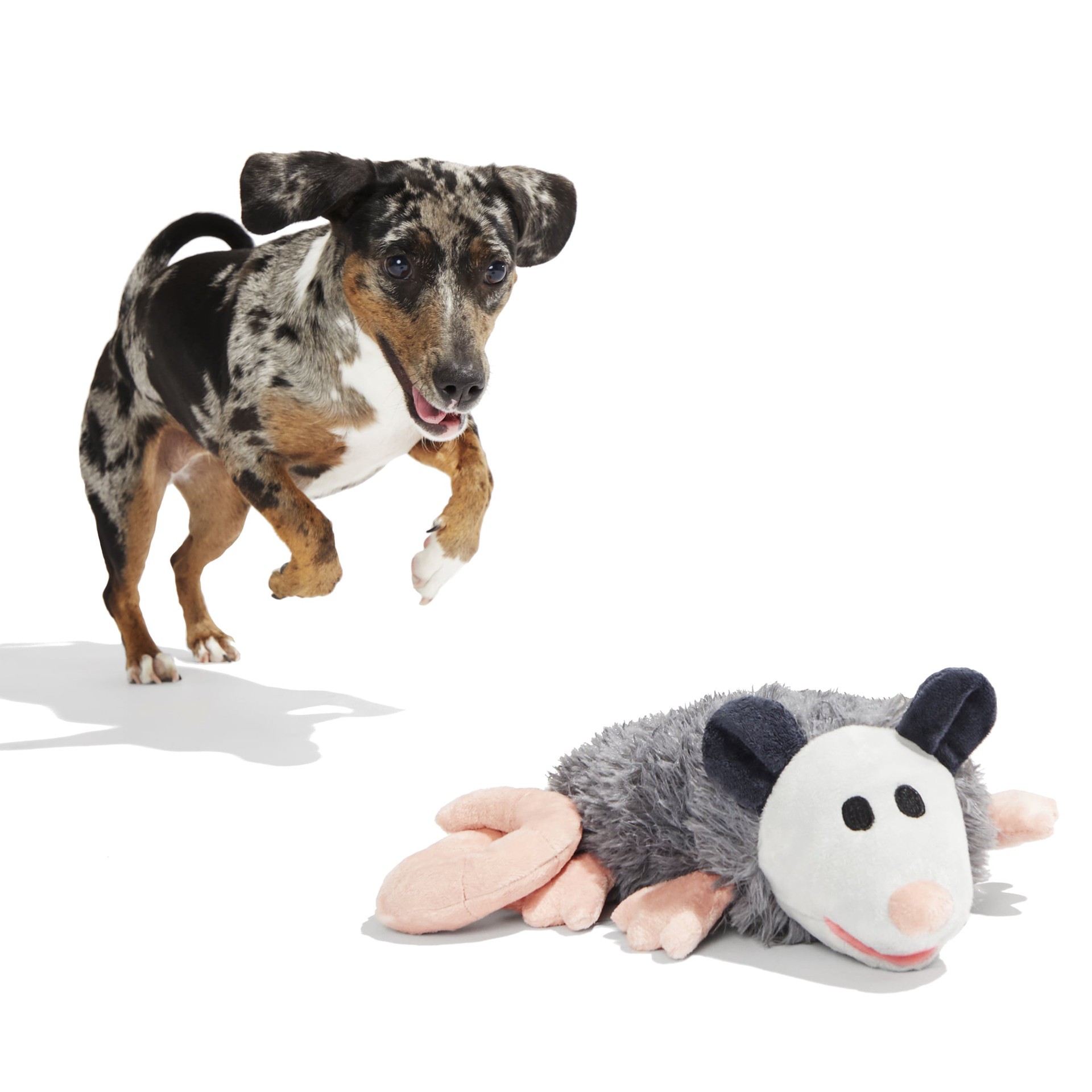 slide 4 of 5, BARK Critters Plush Plush Dog Toy, 1 ct