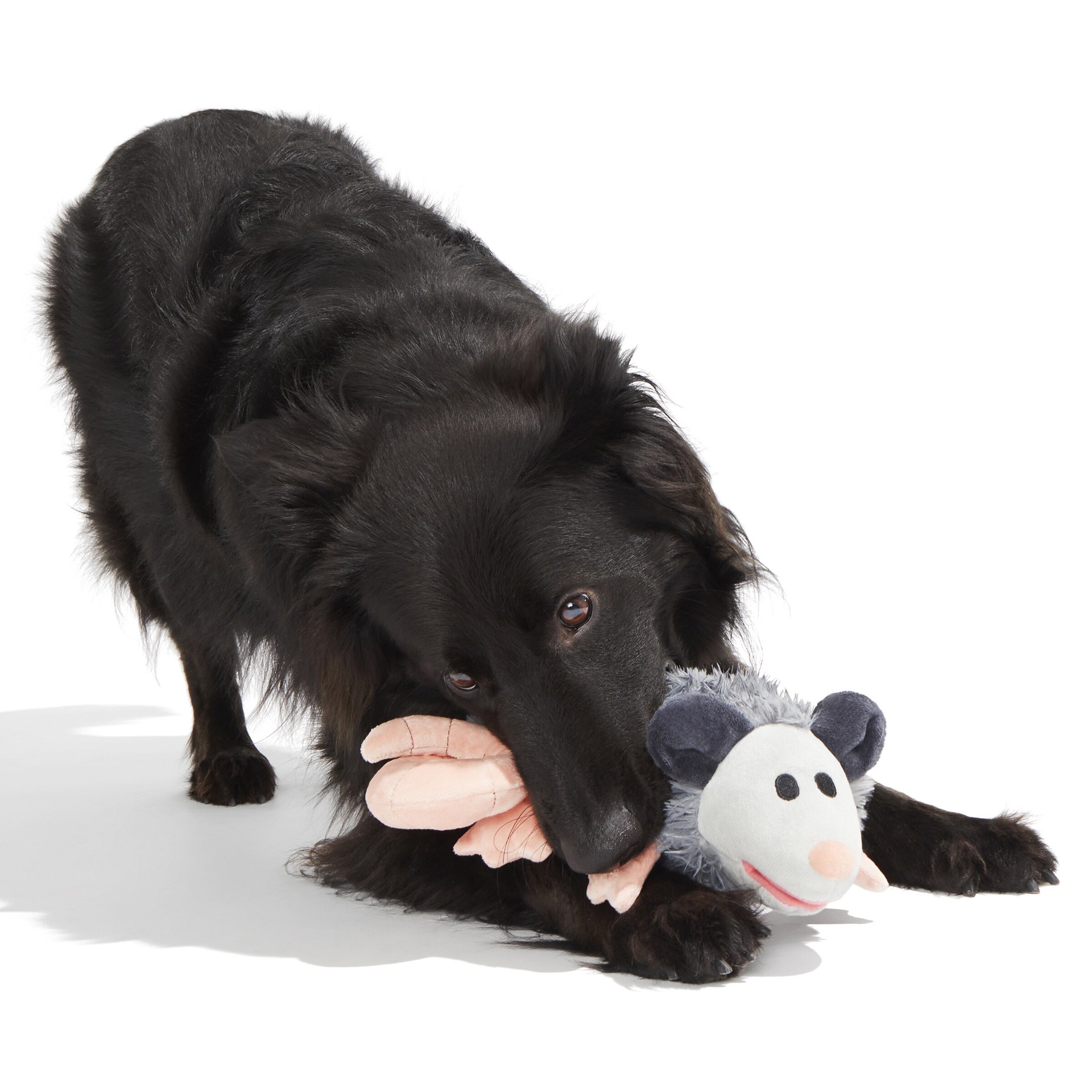 slide 5 of 5, BARK Critters Plush Plush Dog Toy, 1 ct