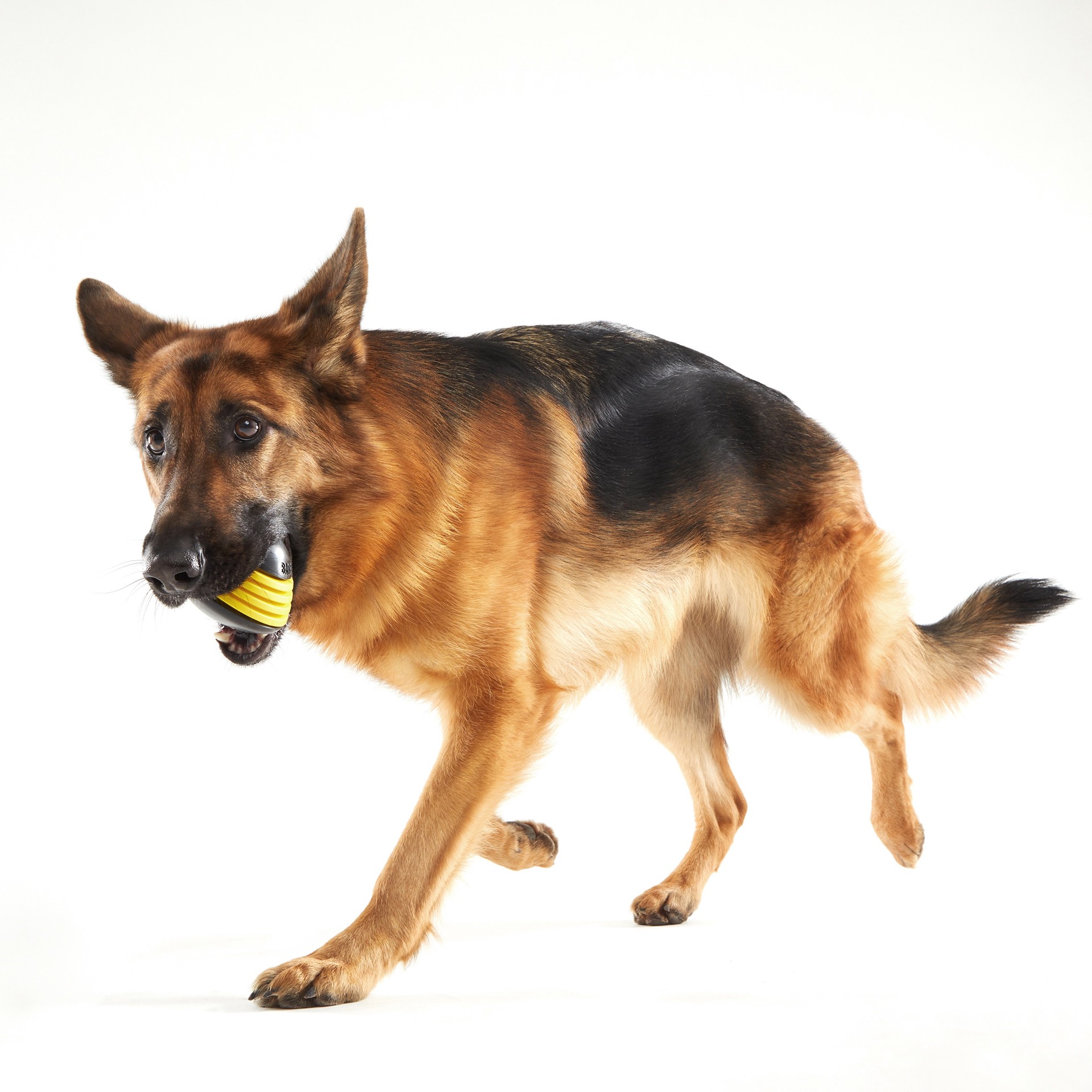slide 3 of 6, BARK Jalapeno Puppers Rubber Rubber Dog Toy, 1 ct