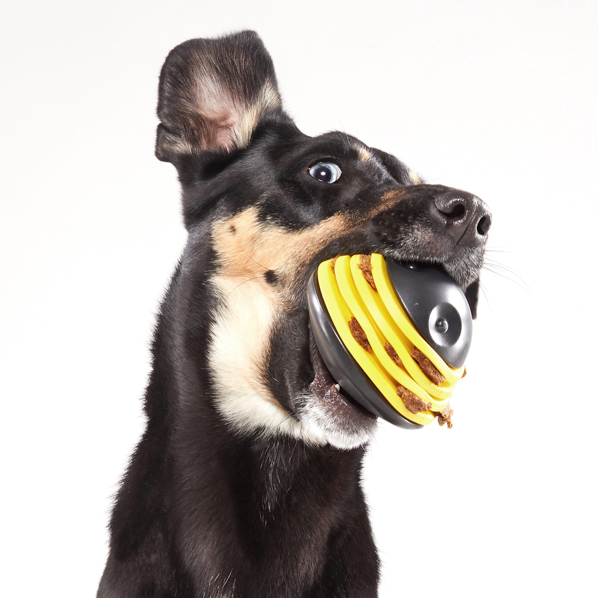 slide 6 of 6, BARK Jalapeno Puppers Rubber Rubber Dog Toy, 1 ct