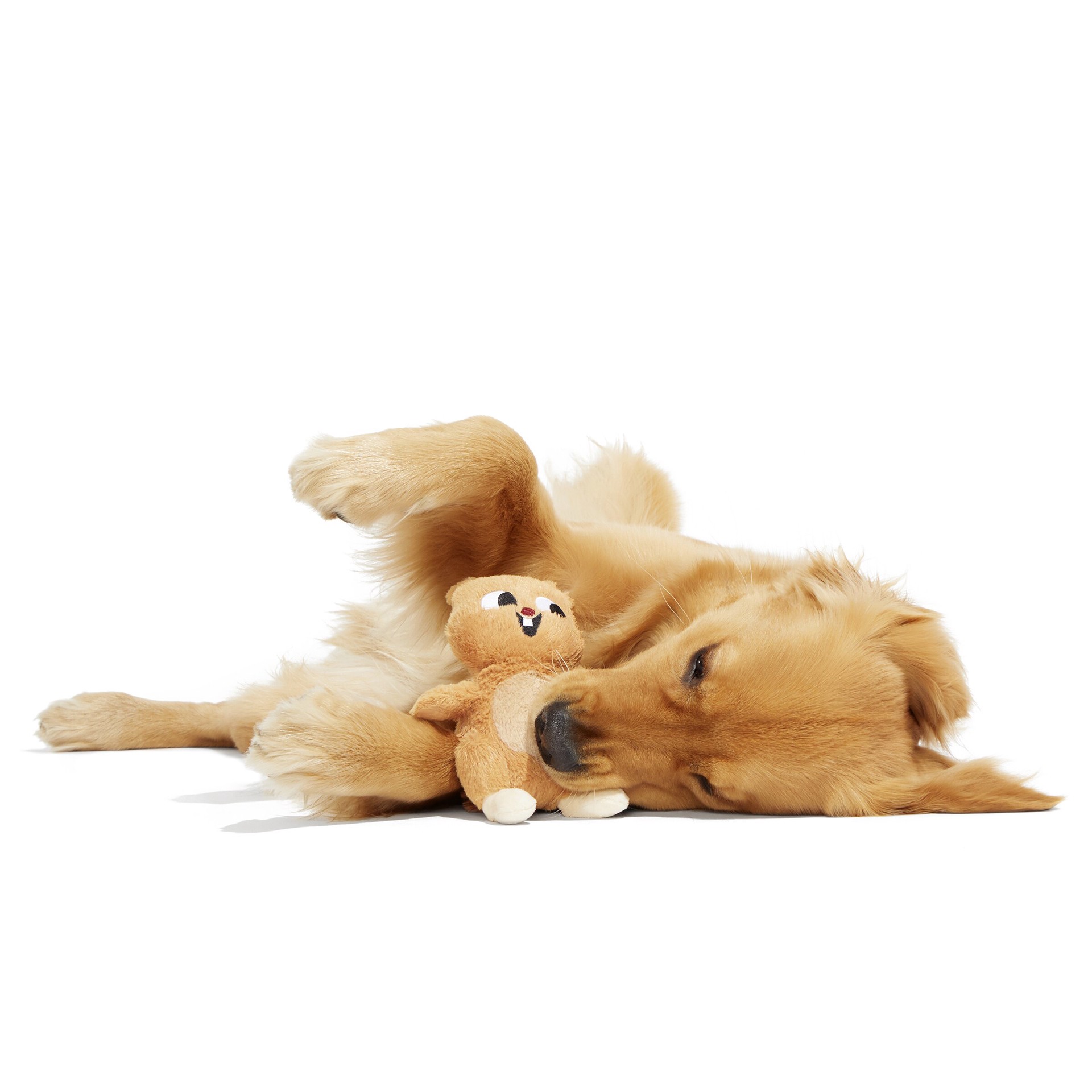 slide 3 of 5, BARK Critters Plush Plush Dog Toy, 1 ct