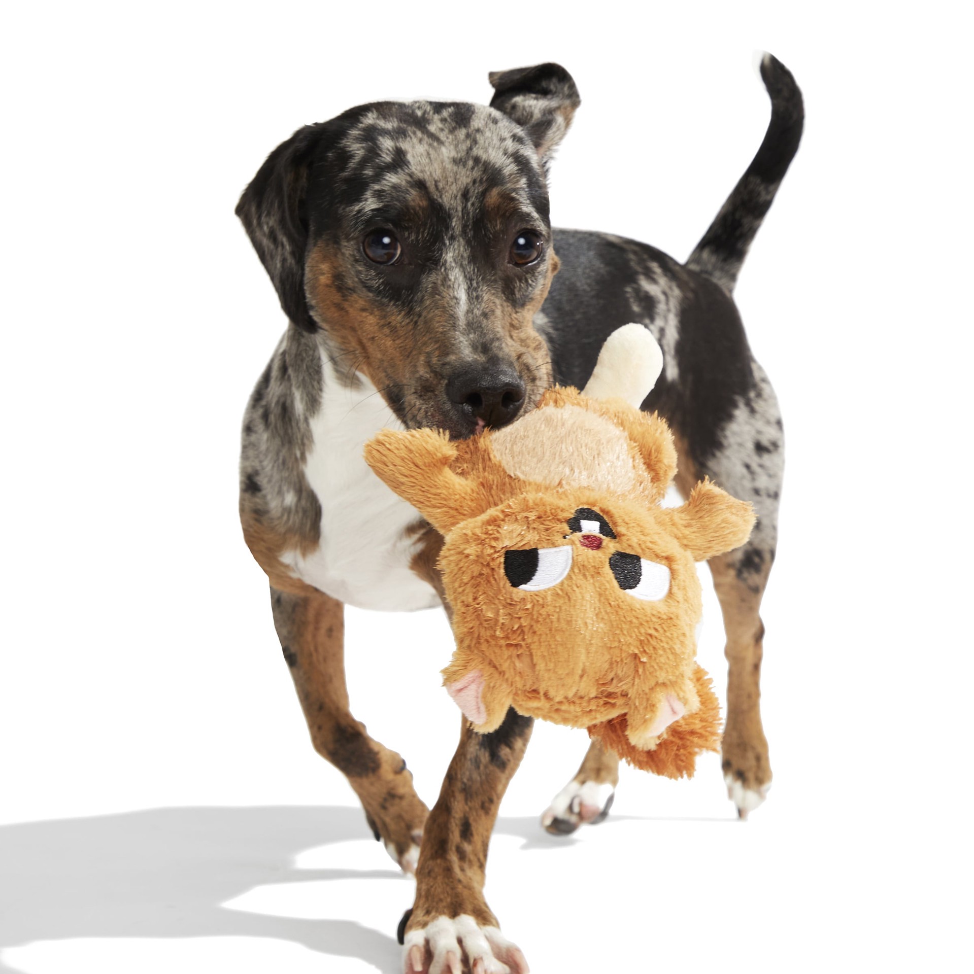 slide 4 of 5, BARK Critters Plush Plush Dog Toy, 1 ct