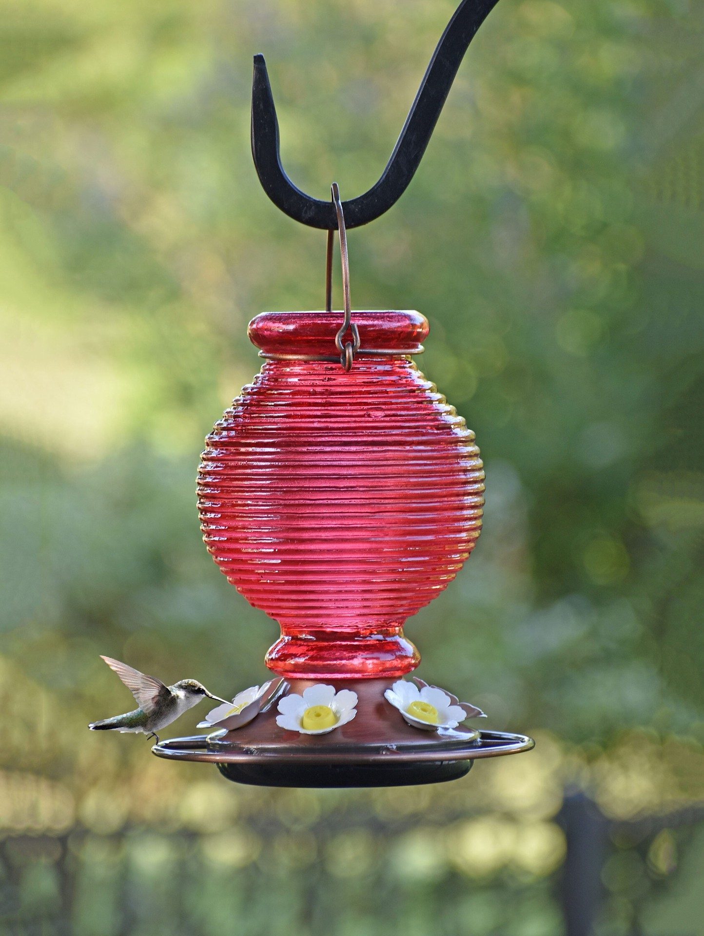 slide 6 of 6, Style Selections Glass Hanging Hummingbird Hummingbird feeder - 30-oz, 1 ct