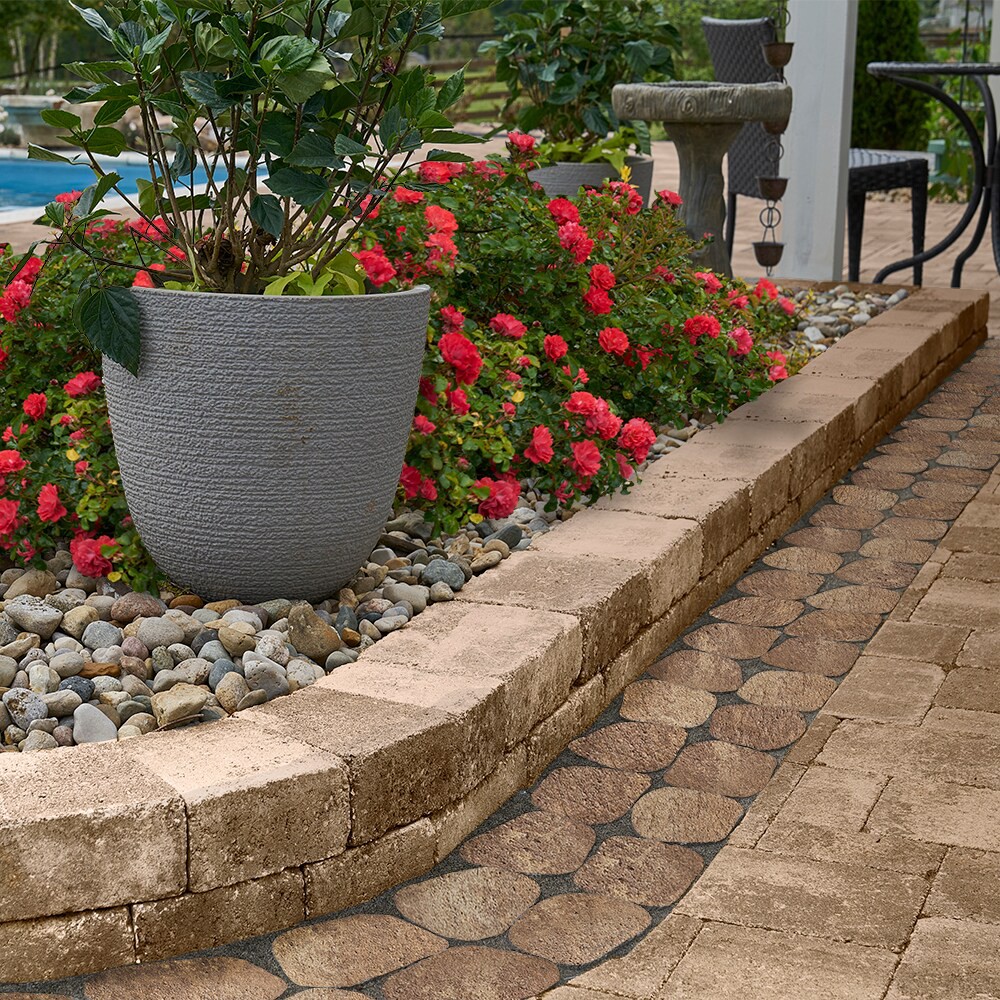 slide 4 of 5, Pavestone 6-in L x 4-in W x 2-in H Irregular Travertine Concrete Paver, 1 ct