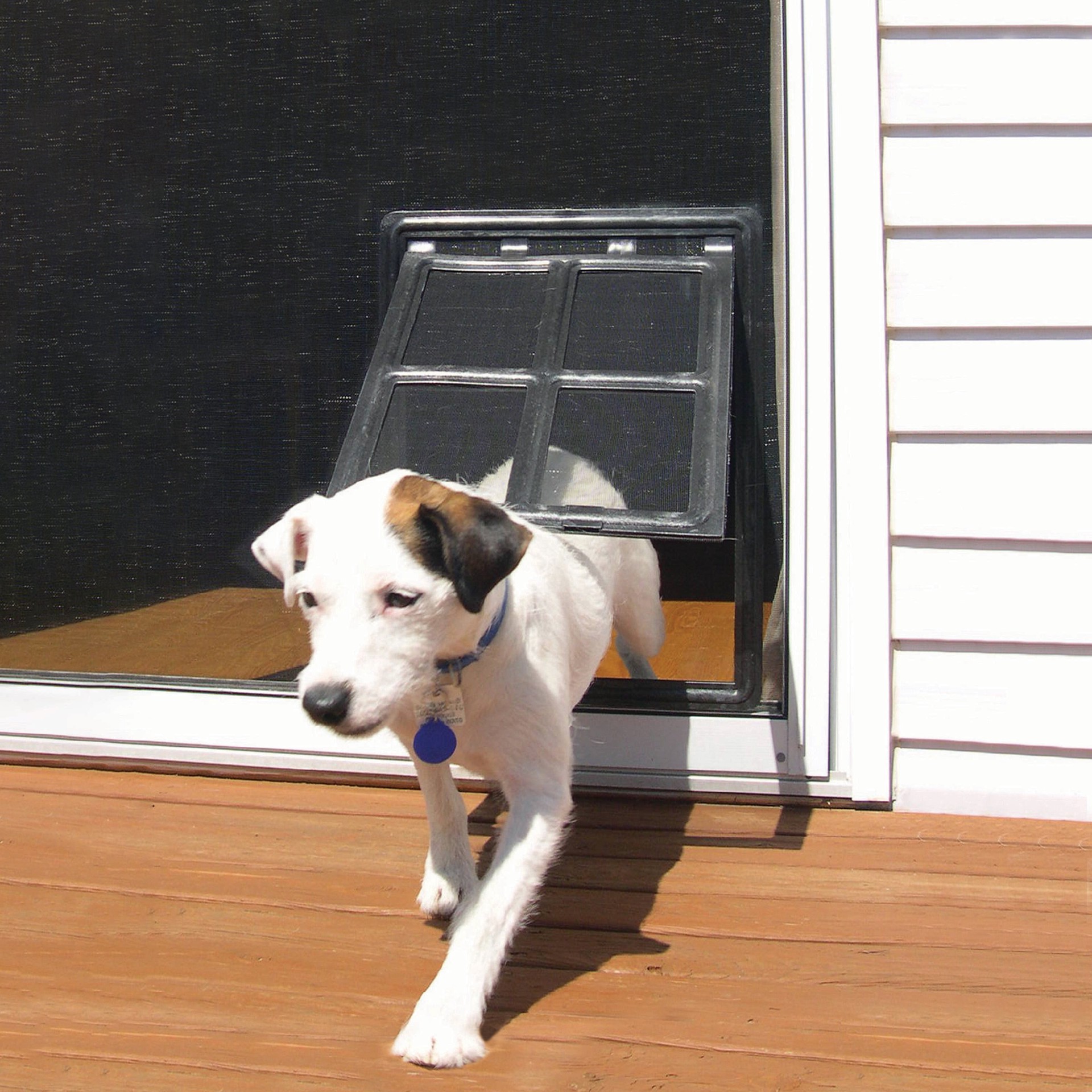 slide 5 of 6, M-D 12-in x 16-in Black Plastic Medium Dog/Cat Door for Screen door, 1 ct