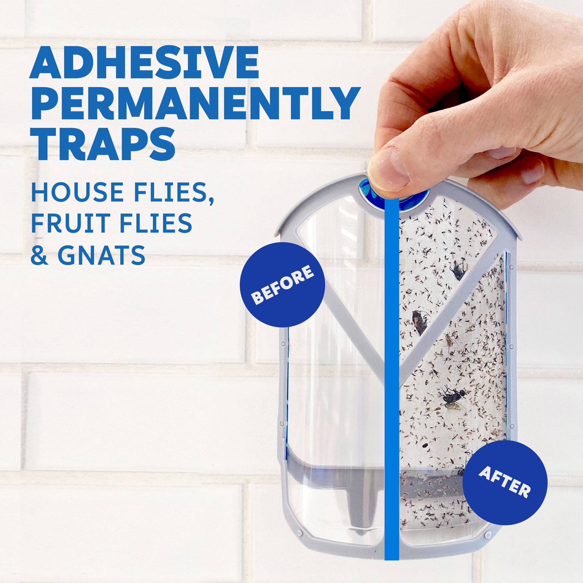 slide 2 of 6, Zevo Zevo Flying Insect Trap Indoor Glue Refill Insect Trap 4 -Pack, 1 ct