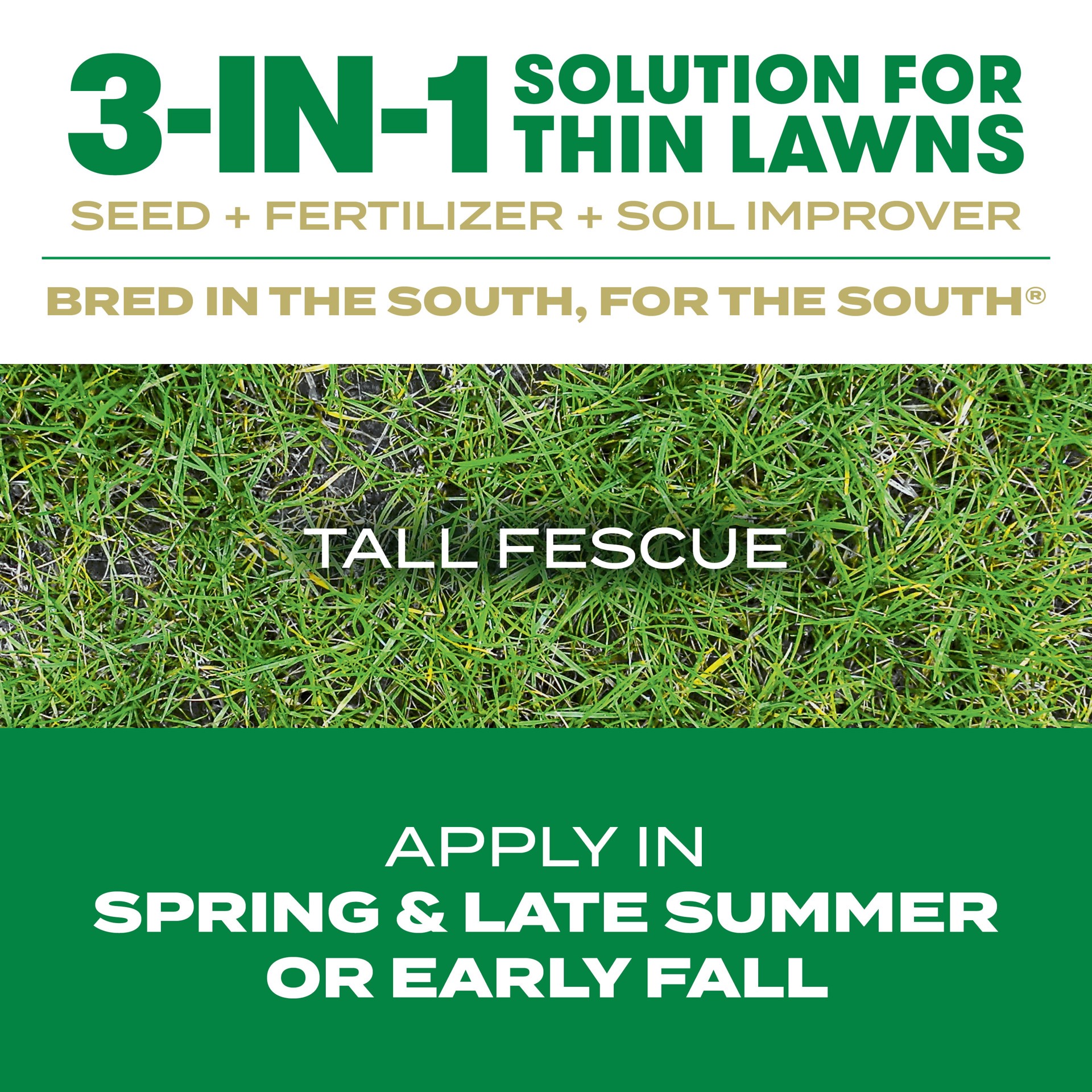 slide 2 of 6, Scotts Thick'R Lawn Southern Gold 40-lb Tall Fescue Grass Seed, 1 ct