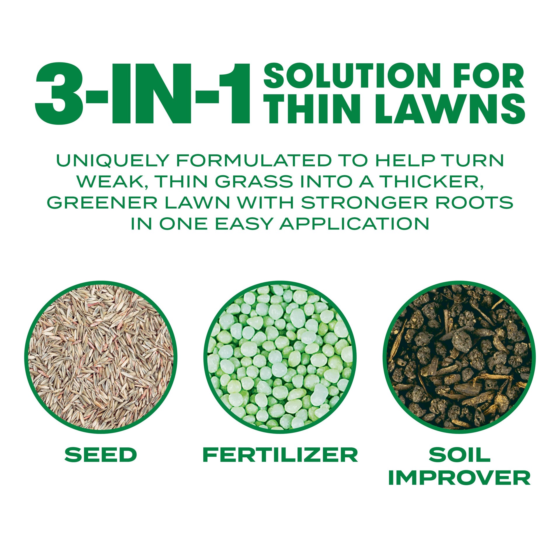 slide 3 of 6, Scotts Thick'R Lawn Southern Gold 40-lb Tall Fescue Grass Seed, 1 ct