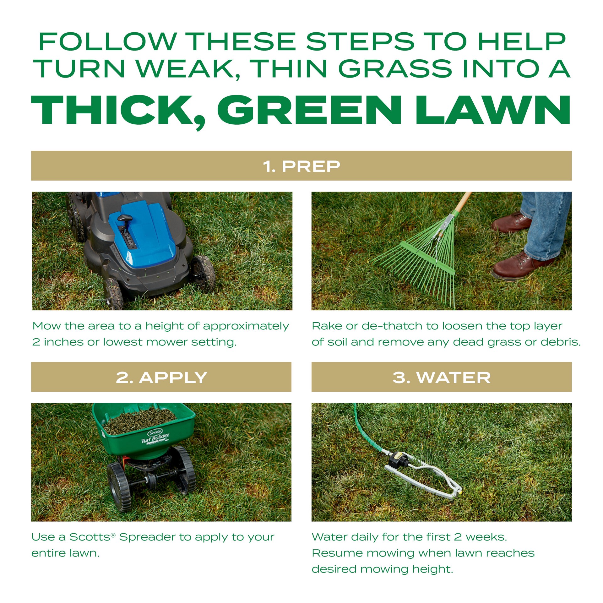 slide 6 of 6, Scotts Thick'R Lawn Southern Gold 40-lb Tall Fescue Grass Seed, 1 ct