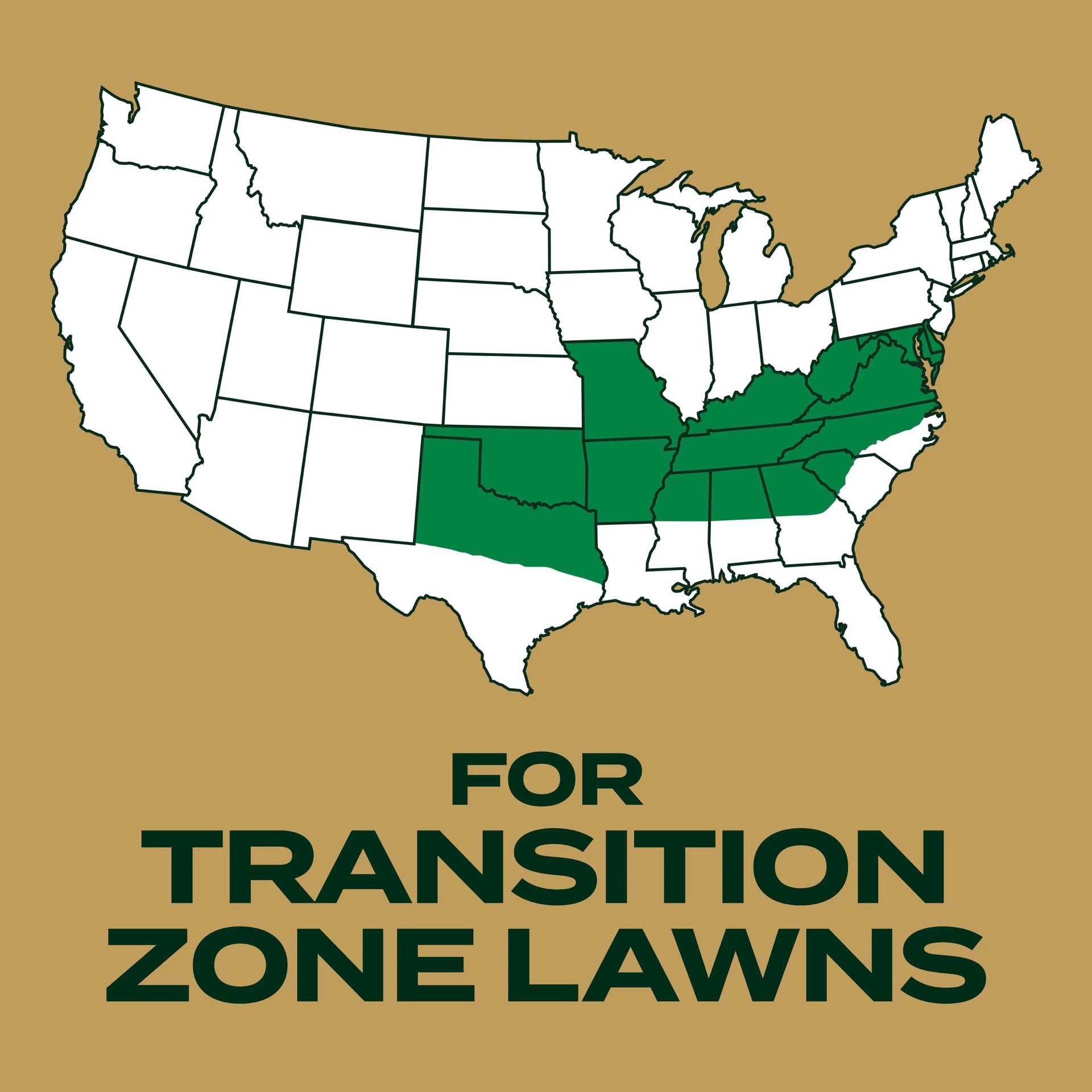 slide 3 of 6, Scotts EZ Seed Southern Gold 3.75-lb Tall Fescue Grass Seed, 1 ct