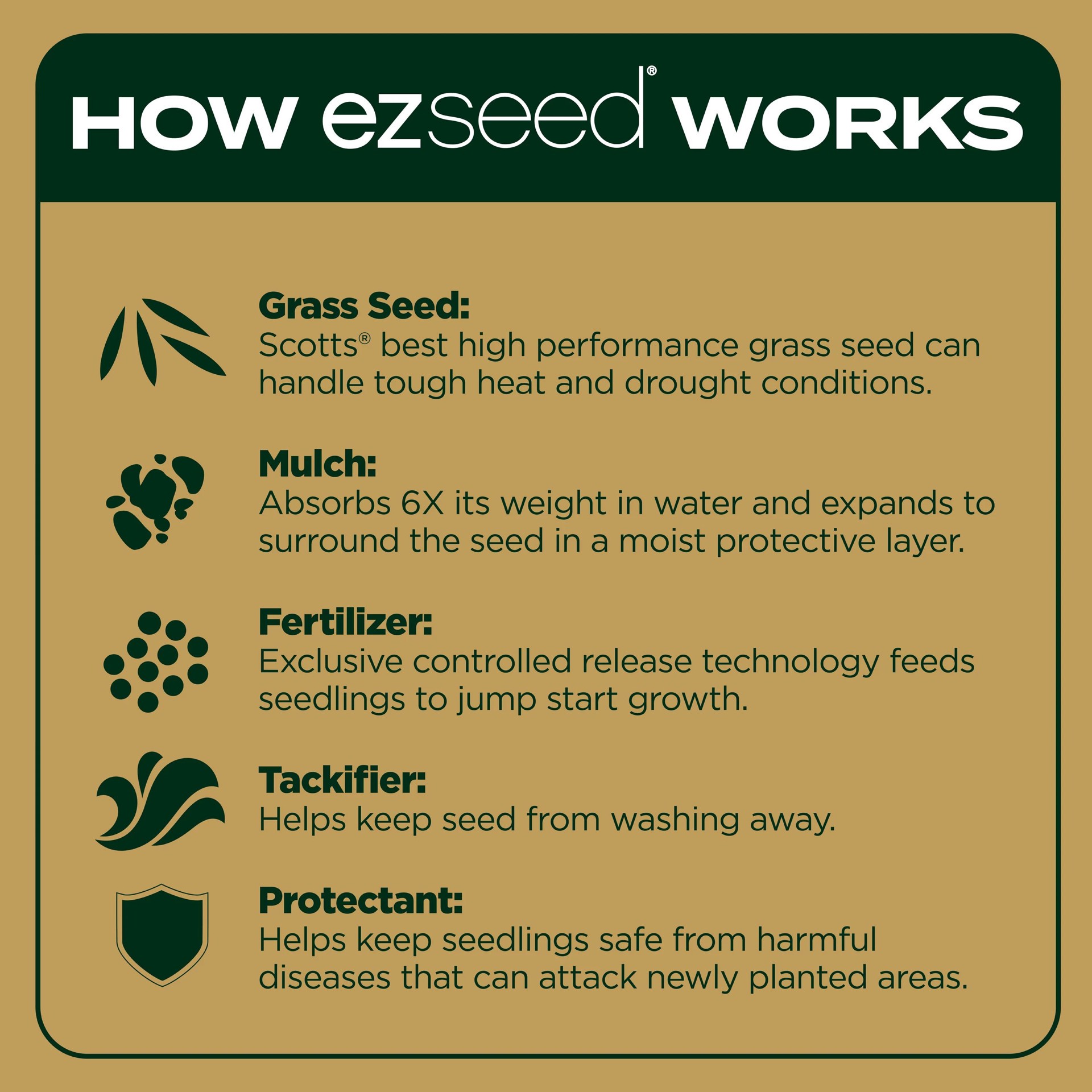 slide 4 of 6, Scotts EZ Seed Southern Gold 3.75-lb Tall Fescue Grass Seed, 1 ct