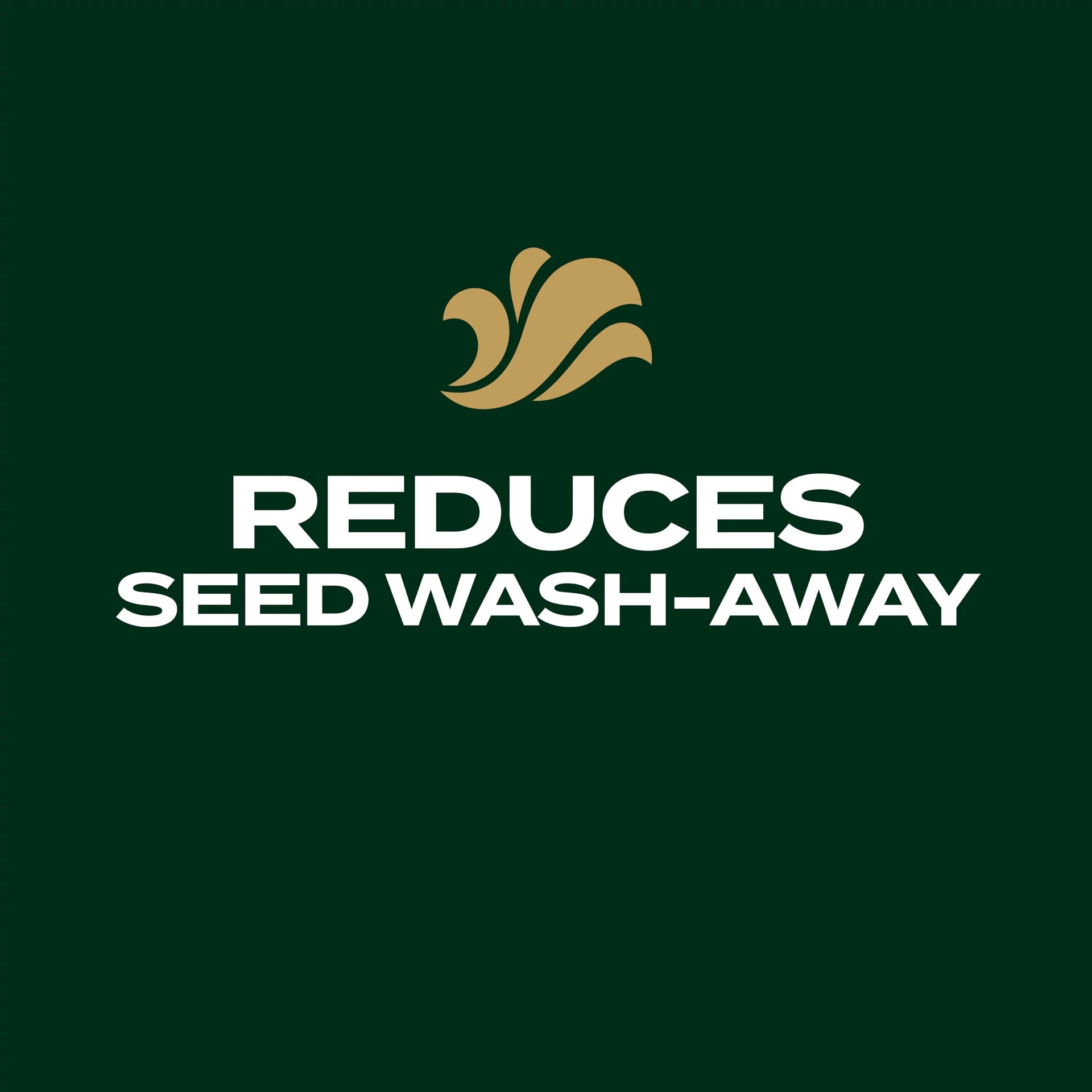 slide 6 of 6, Scotts EZ Seed Southern Gold 3.75-lb Tall Fescue Grass Seed, 1 ct