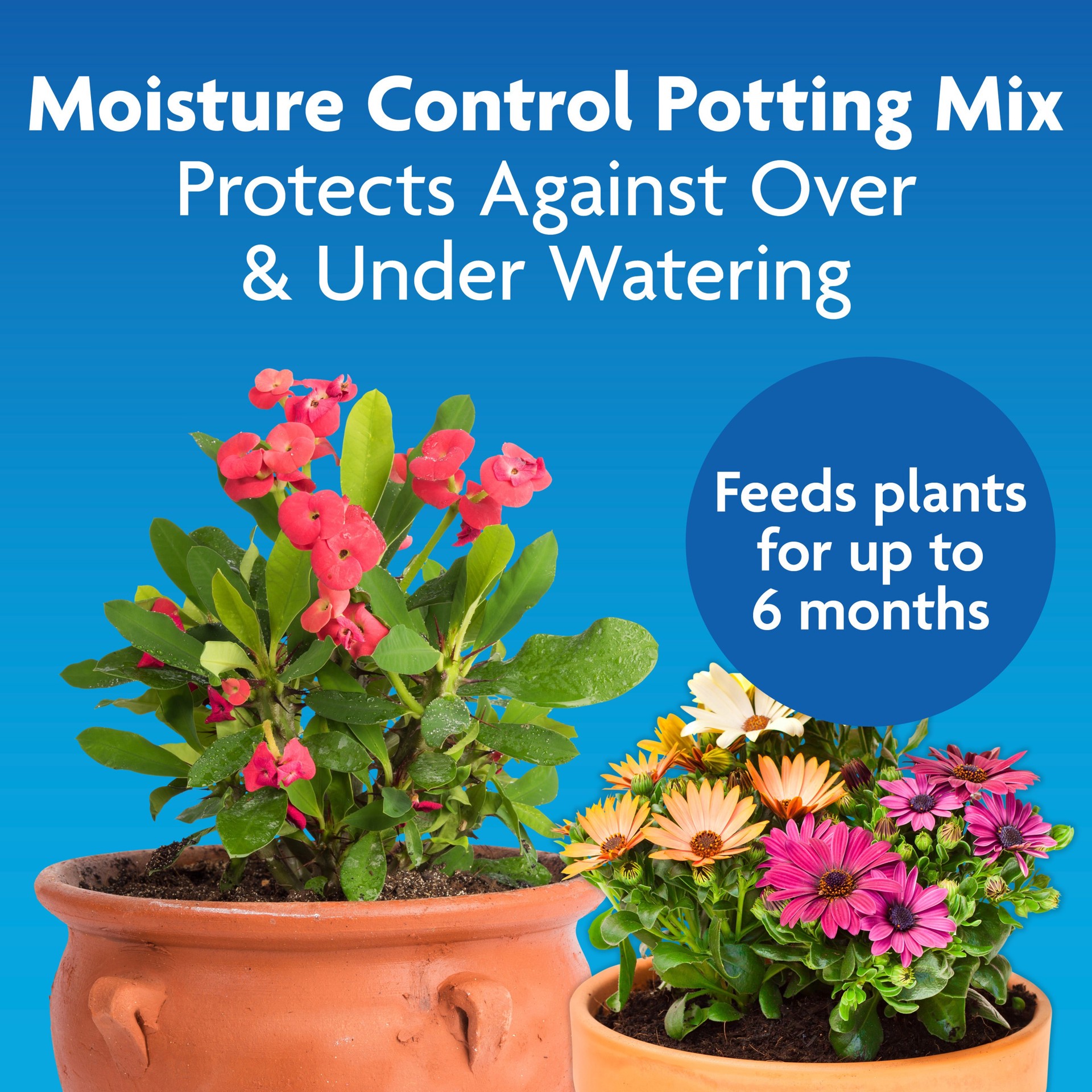 slide 2 of 6, Miracle-Gro Moisture Control 16 Quart(s) All-purpose Potting soil mix, 1 ct