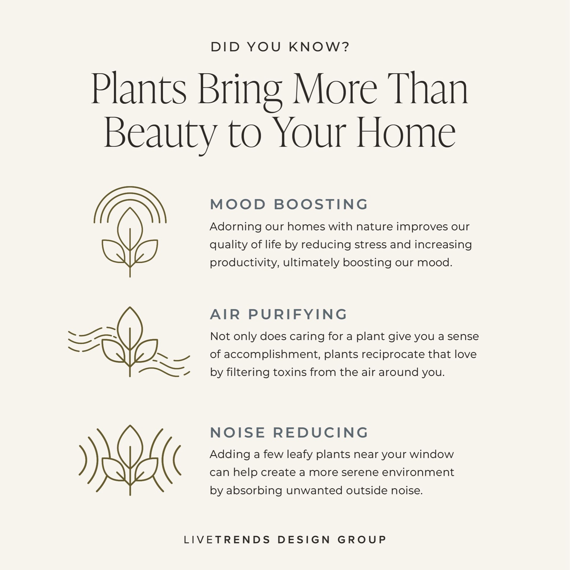 slide 3 of 5, LiveTrends Demeter - Assorted Water Root Foliage House plant in 1 -Pack Terrarium 1 -Pack, 1 ct