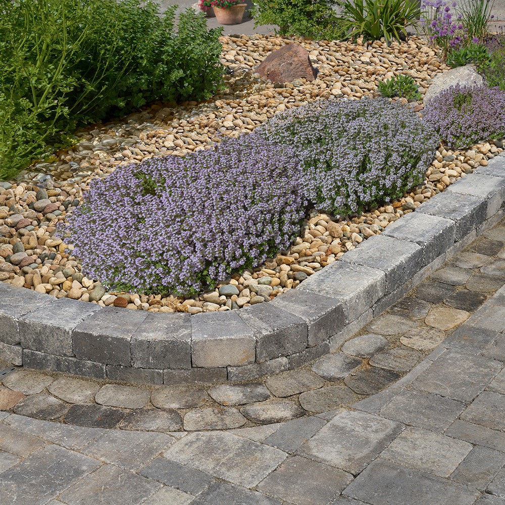 slide 4 of 5, Pavestone 6-in L x 4-in W x 2-in H Irregular Graphite Concrete Paver, 1 ct