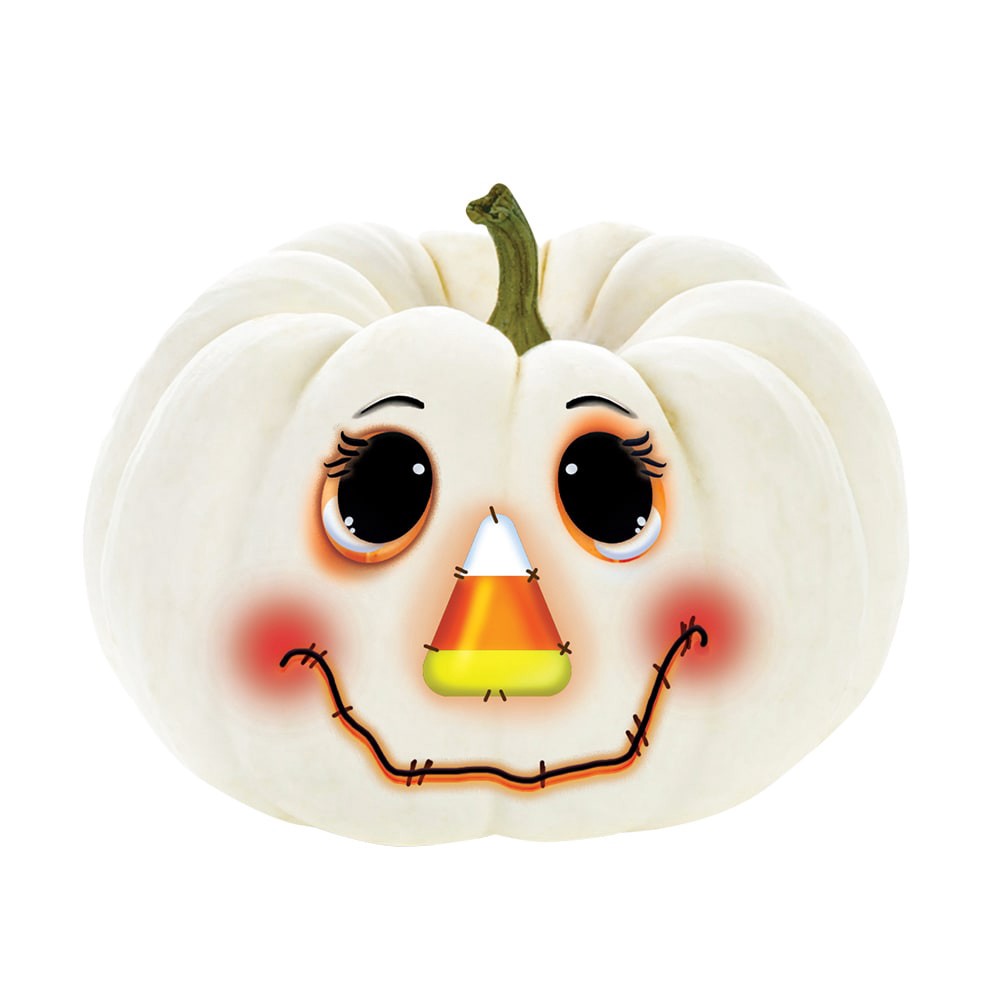 slide 1 of 1, 0 Happy Face Blanco Pumpkin, 1 ct