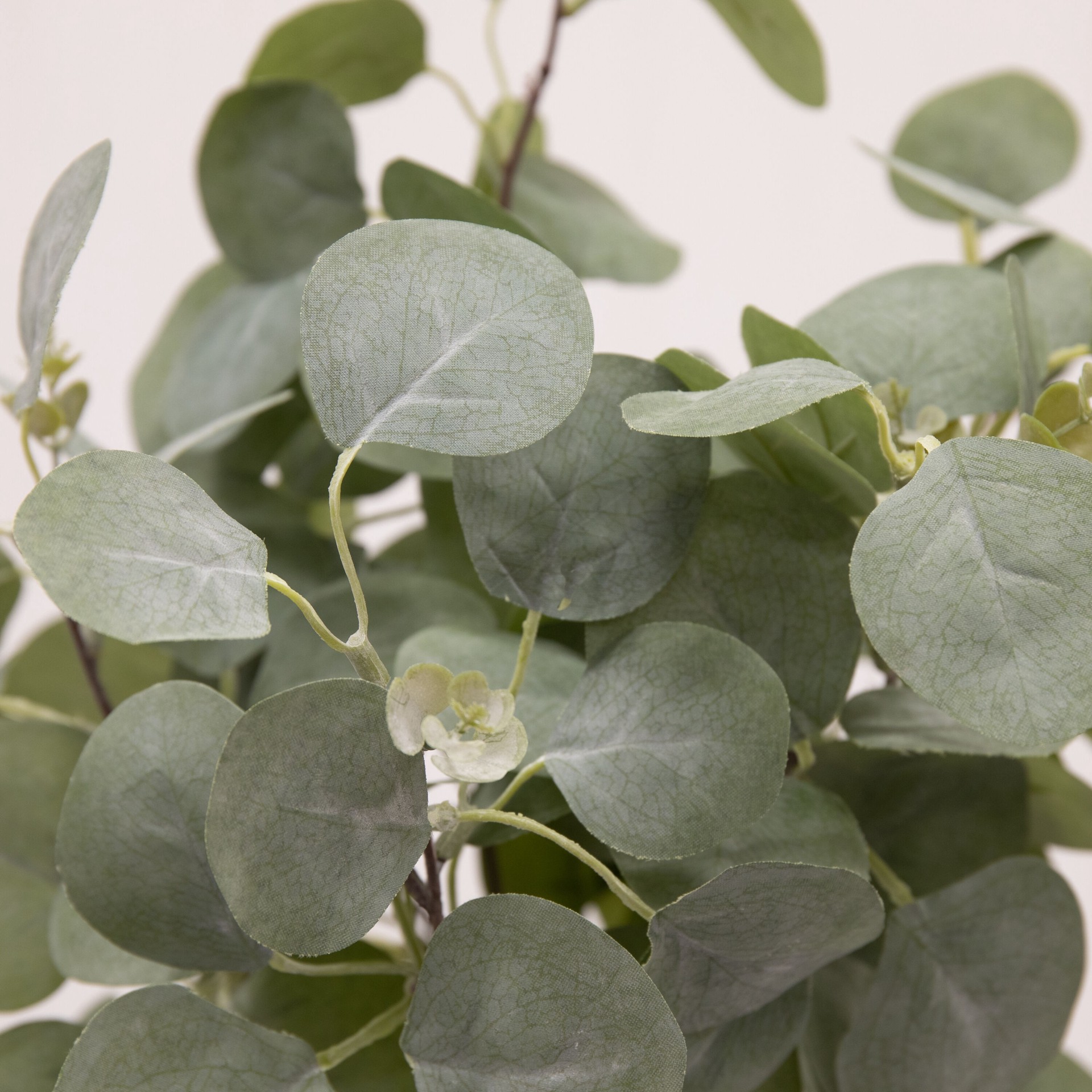 slide 2 of 6, allen + roth 16-in Green Indoor Desktop Eucalyptus Artificial plant, 1 ct