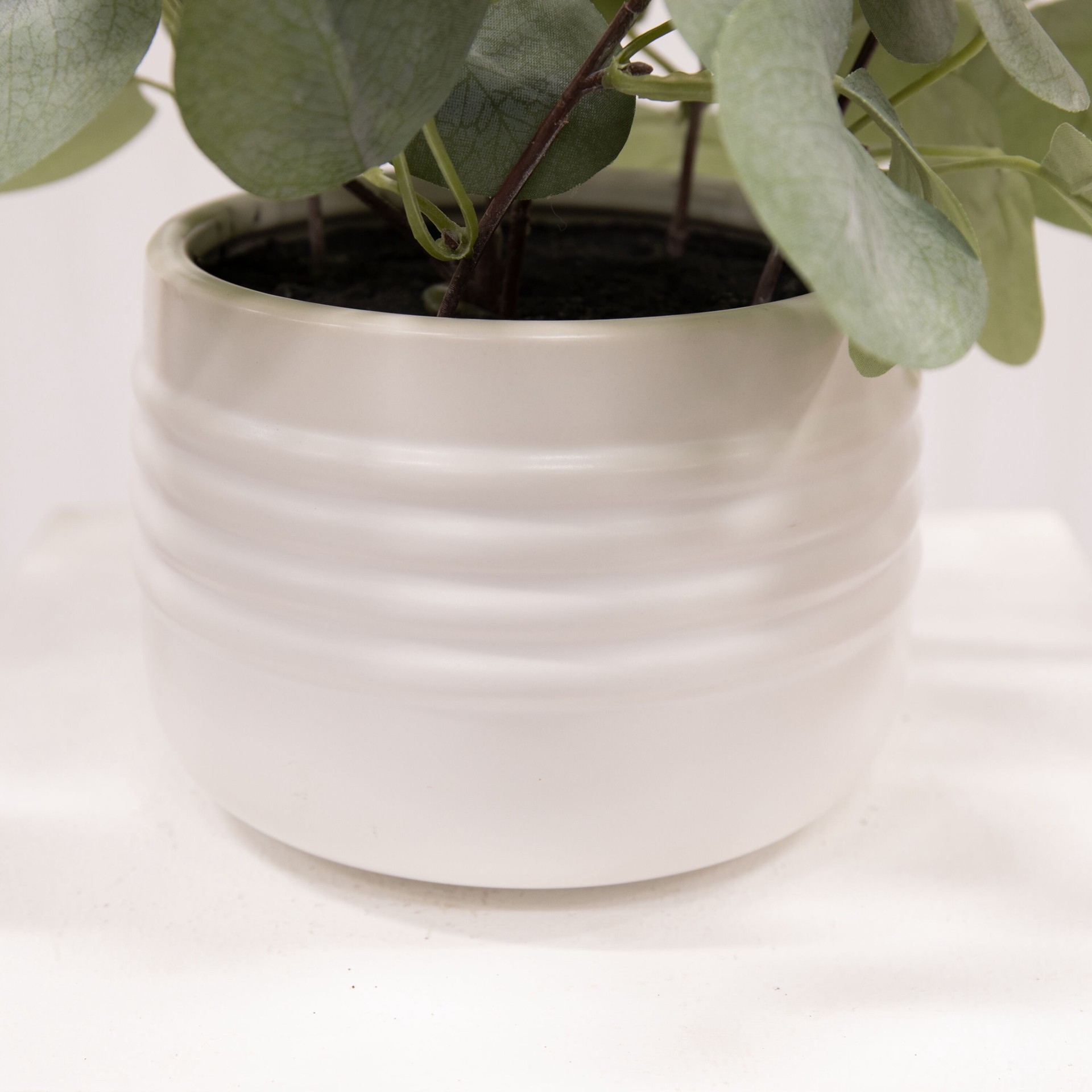 slide 3 of 6, allen + roth 16-in Green Indoor Desktop Eucalyptus Artificial plant, 1 ct