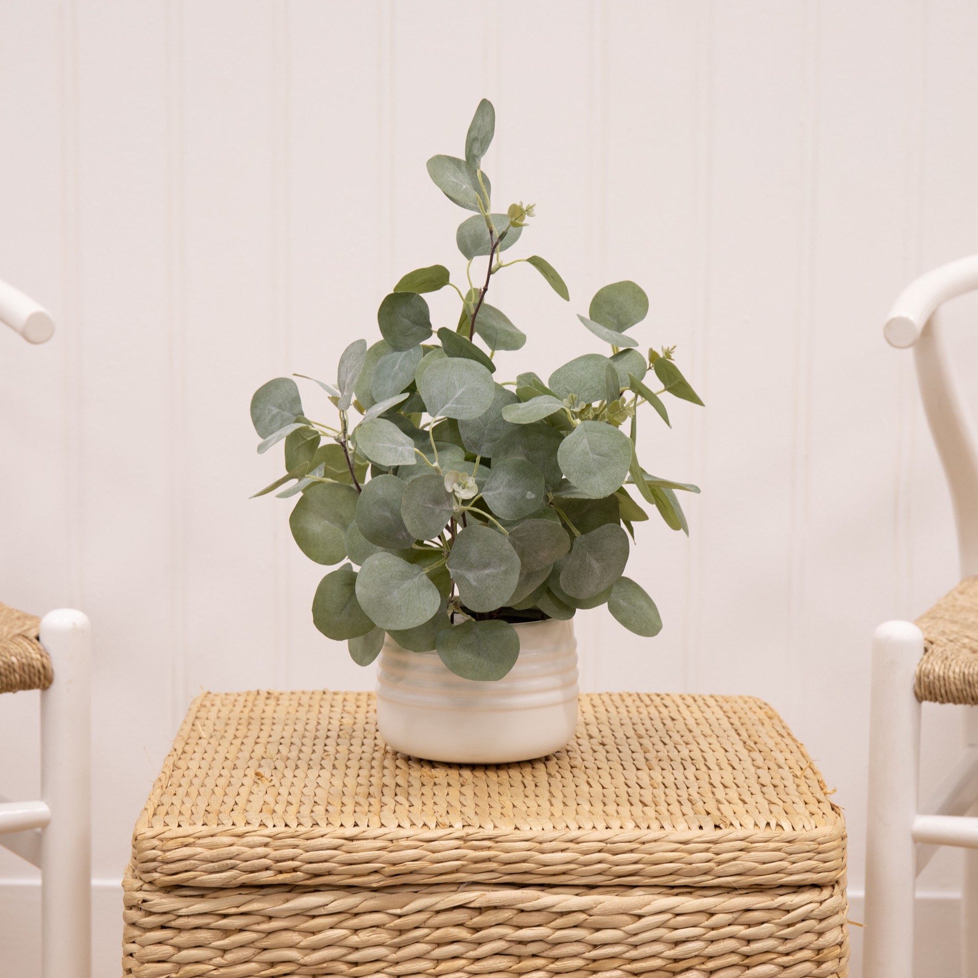 slide 5 of 6, allen + roth 16-in Green Indoor Desktop Eucalyptus Artificial plant, 1 ct