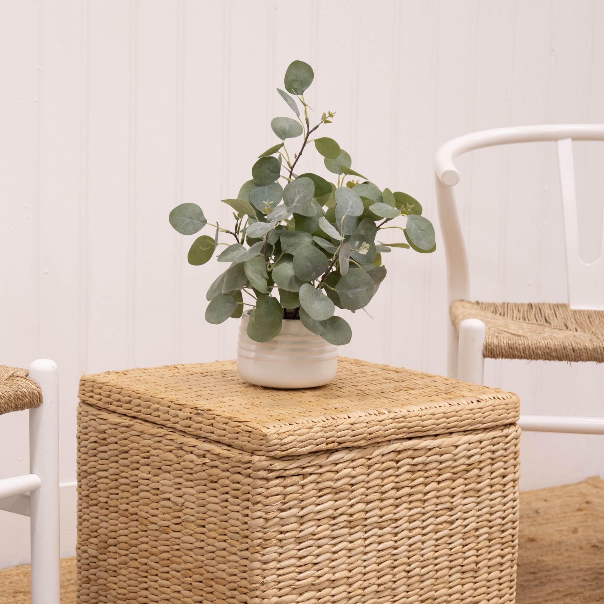 slide 6 of 6, allen + roth 16-in Green Indoor Desktop Eucalyptus Artificial plant, 1 ct