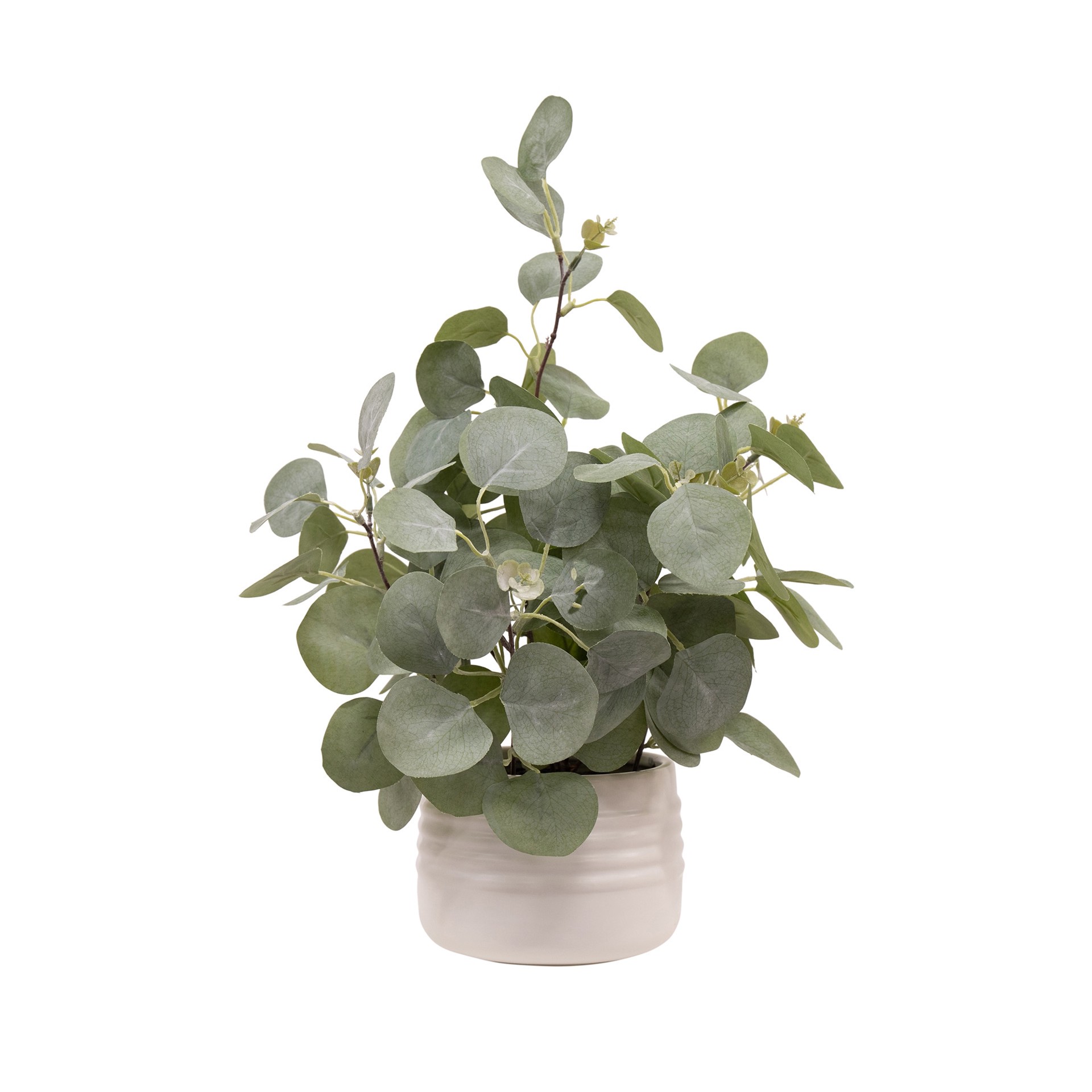 slide 1 of 6, allen + roth 16-in Green Indoor Desktop Eucalyptus Artificial plant, 1 ct