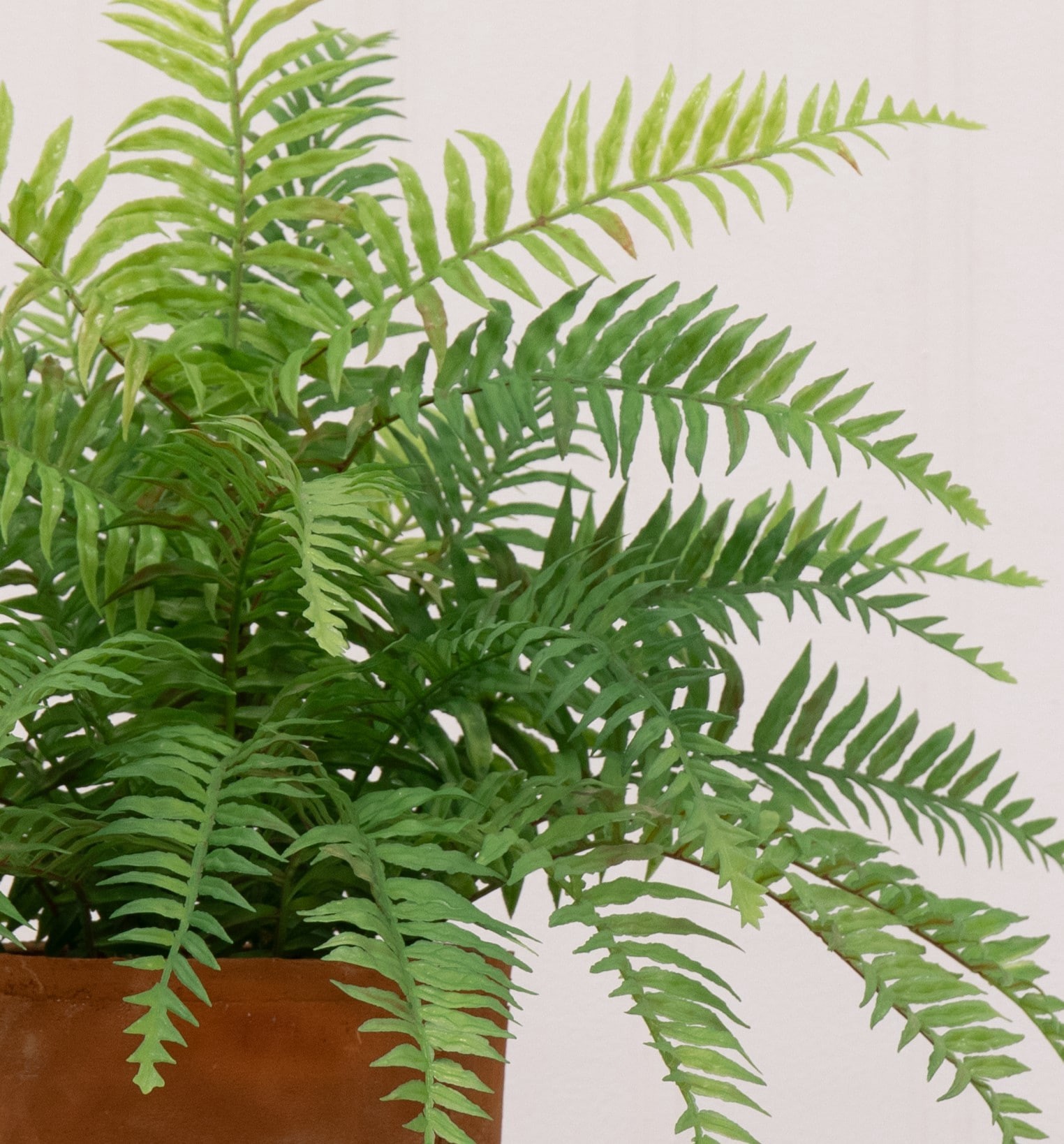 slide 2 of 6, allen + roth 20-in Green Indoor Desktop Fern Artificial plant, 1 ct