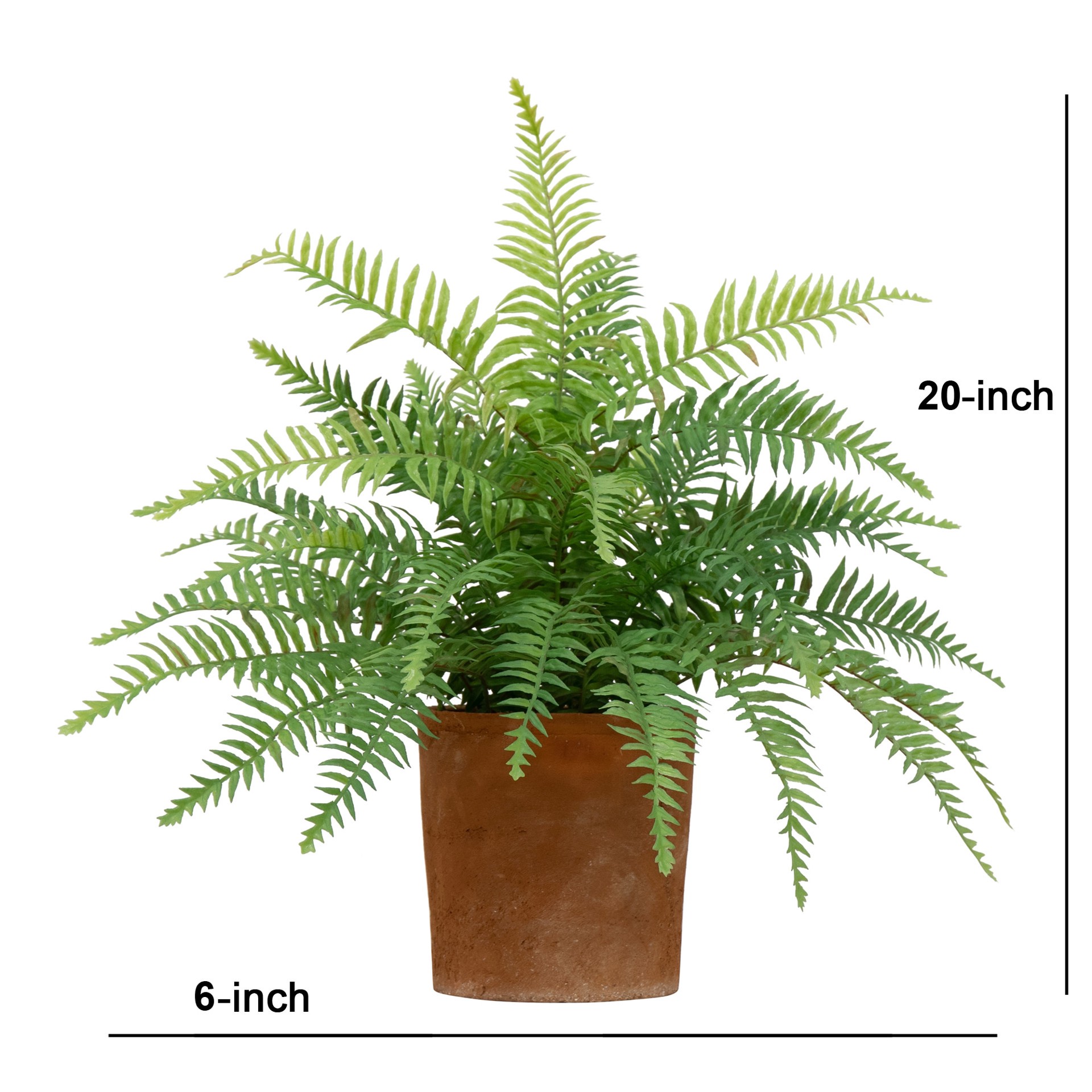 slide 6 of 6, allen + roth 20-in Green Indoor Desktop Fern Artificial plant, 1 ct
