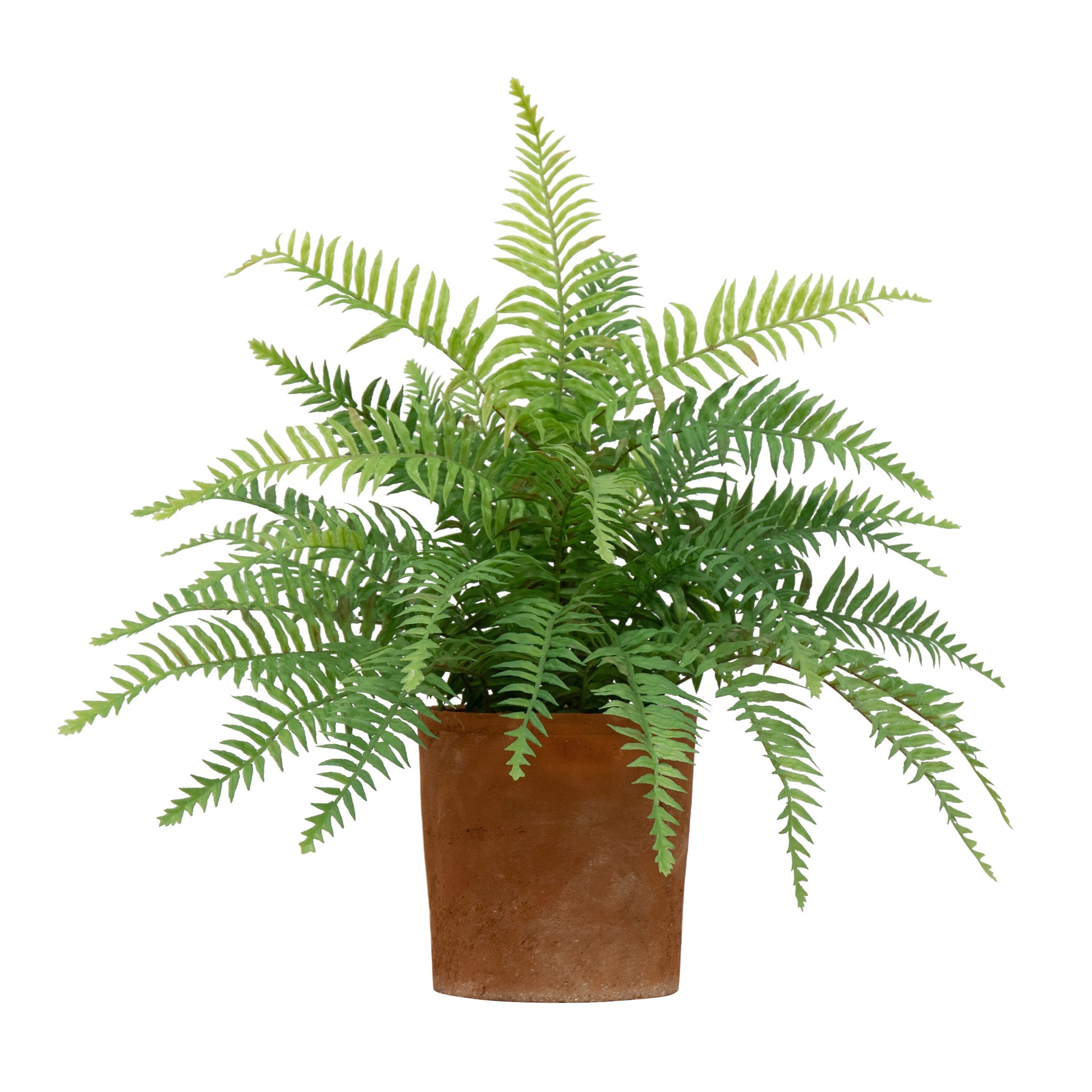slide 1 of 6, allen + roth 20-in Green Indoor Desktop Fern Artificial plant, 1 ct
