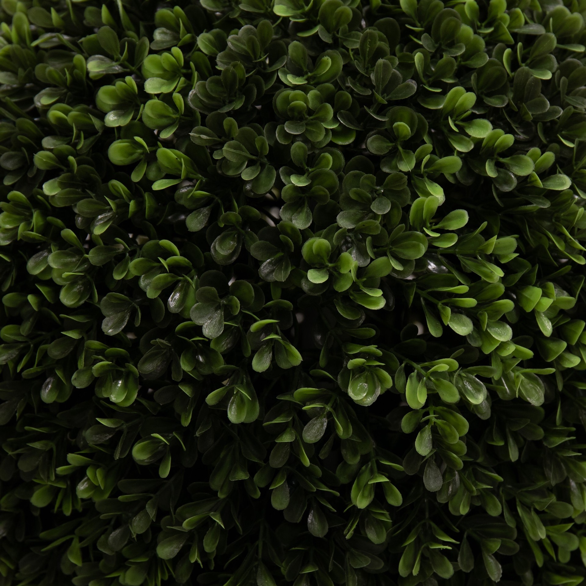 slide 2 of 6, allen + roth 24-in Green Indoor Floor Boxwood Artificial plant, 1 ct