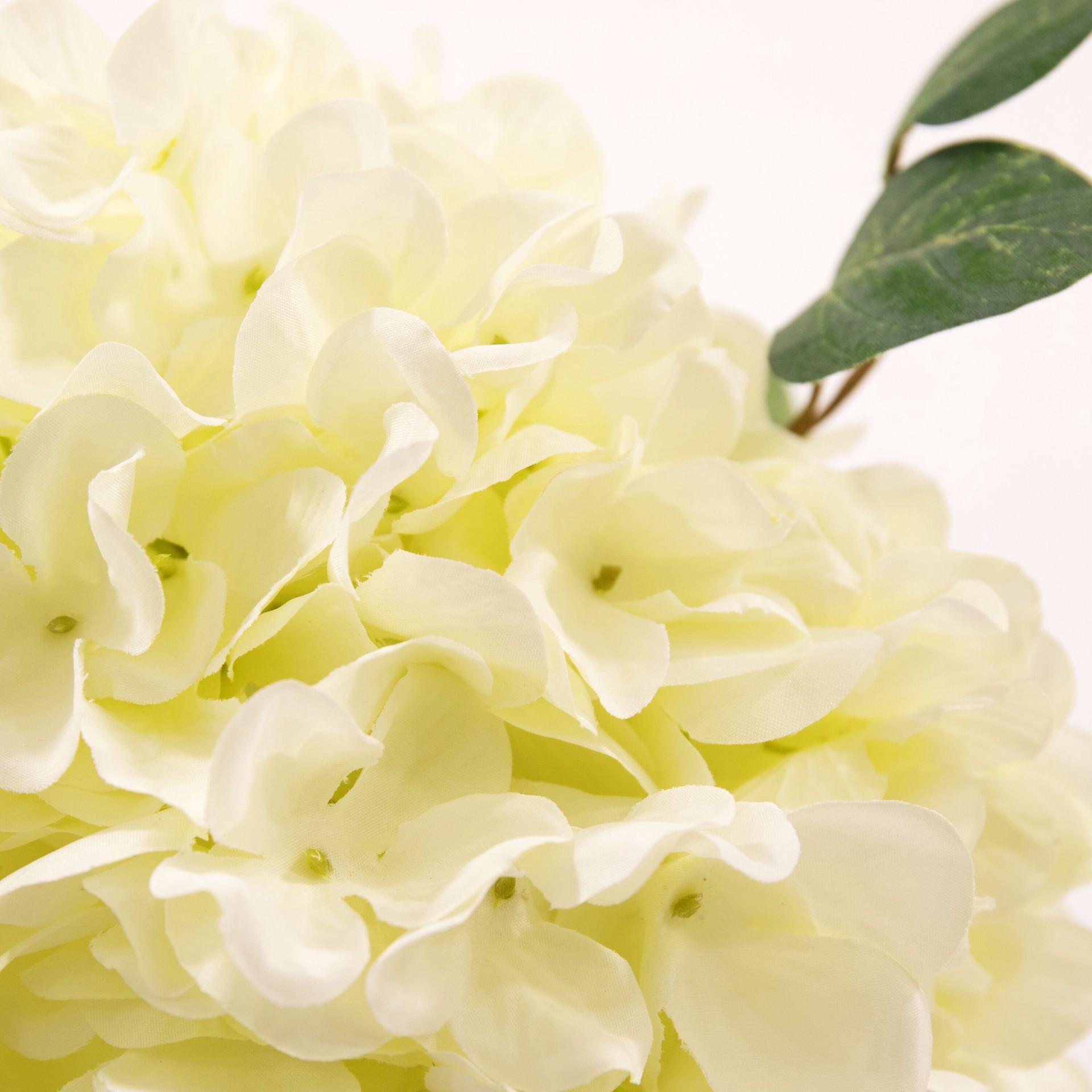 slide 2 of 6, allen + roth 12-in White Indoor Desktop Hydrangea Artificial plant, 1 ct