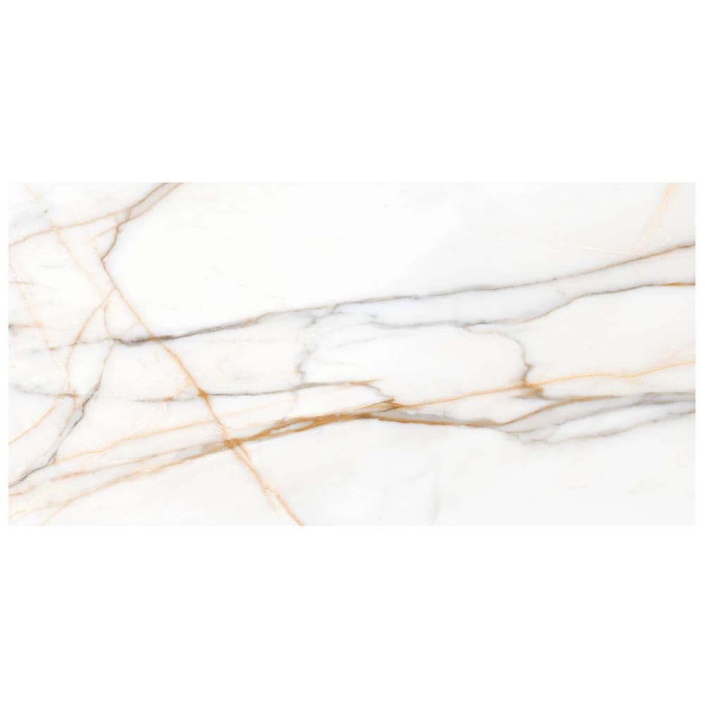slide 4 of 6, Elida Ceramica Bianca Gold 24-in x 48-in Matte Porcelain Floor and Wall Tile ( 7.75-sq ft Piece ), 1 ct