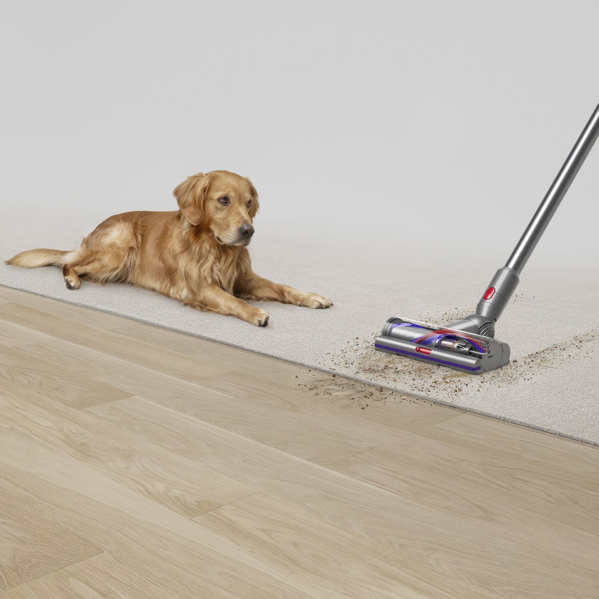 slide 4 of 6, Dyson V15 Detect Portable Cordless Pet Stick Vacuum Cleaner (Convertible to Handheld), 1 ct