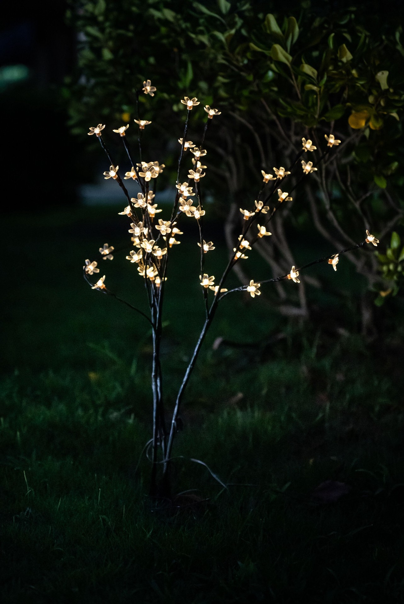 slide 4 of 6, Harbor Breeze Solar ( 3000-K ), 1 ct