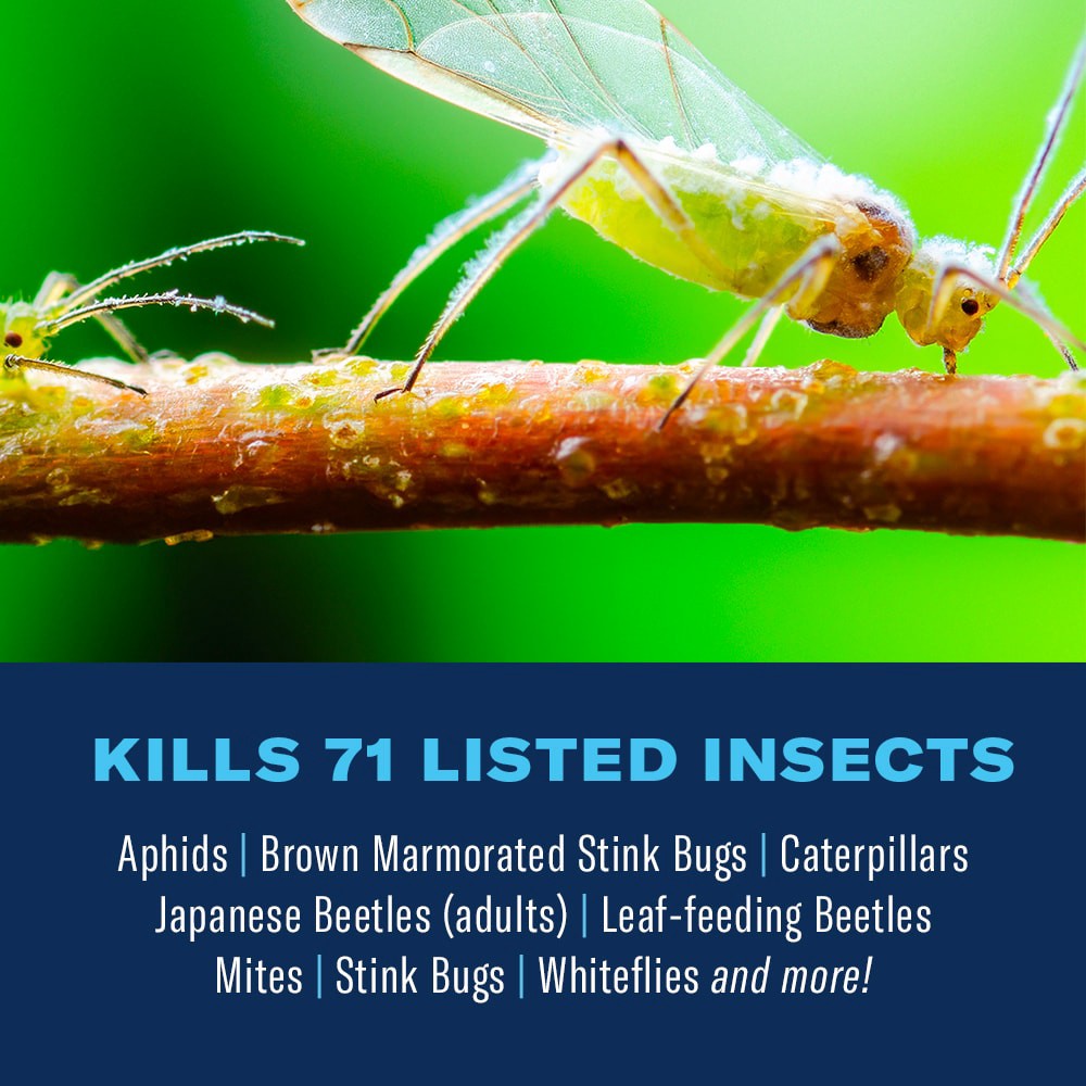 slide 2 of 5, BioAdvanced Complete Soil and Turf 32 -fl oz Hose end sprayer Insect killer, 1 ct