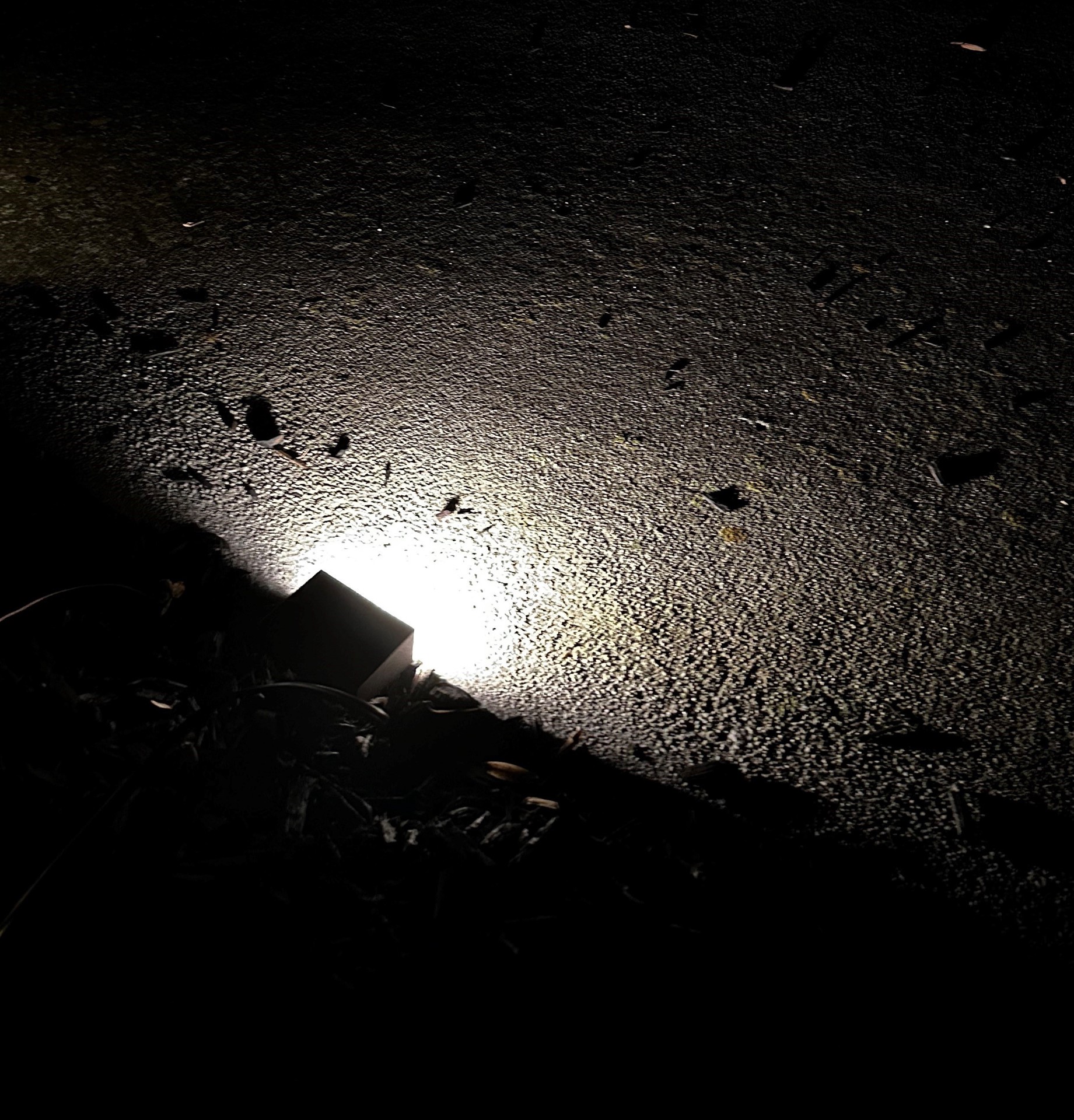 slide 2 of 6, Harbor Breeze 200 -Lumens 2.6 -Watt Specilaty Textured Bronze Low voltage Hardwired LED Outdoor Path Light ( 3000-K ), 1 ct