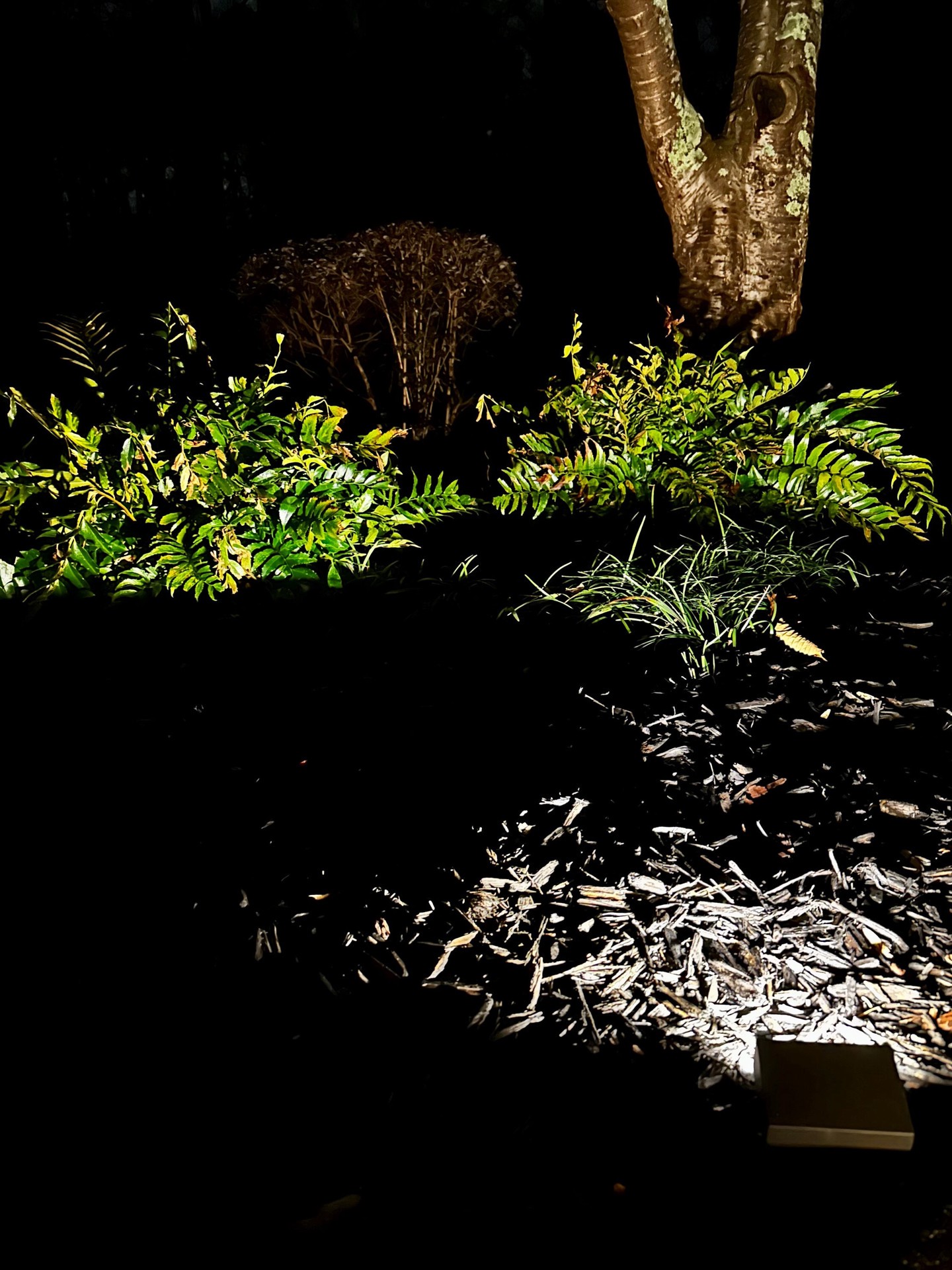 slide 4 of 6, Harbor Breeze 200 -Lumens 2.6 -Watt Specilaty Textured Bronze Low voltage Hardwired LED Outdoor Path Light ( 3000-K ), 1 ct