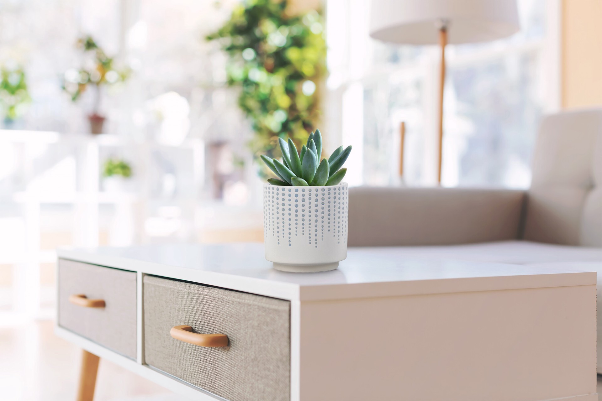 slide 5 of 5, allen + roth Round 4.0-in W x 4.0-in L Blue Ceramic Indoor Planter, 1 ct