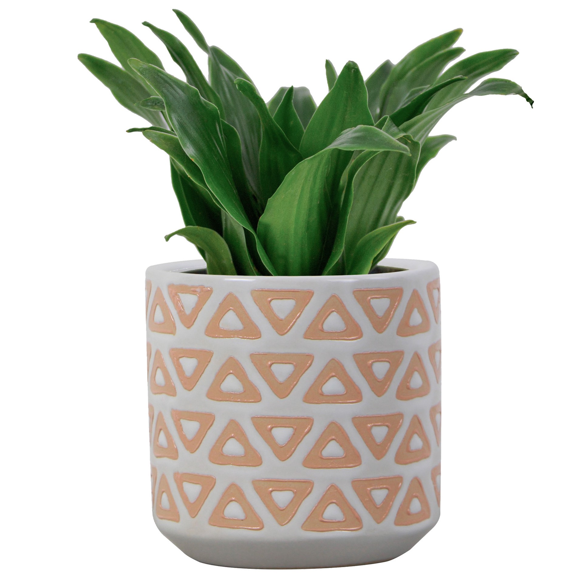 slide 2 of 6, allen + roth Round 3.03-in W x 3.03-in L Orange Ceramic Indoor Planter, 1 ct