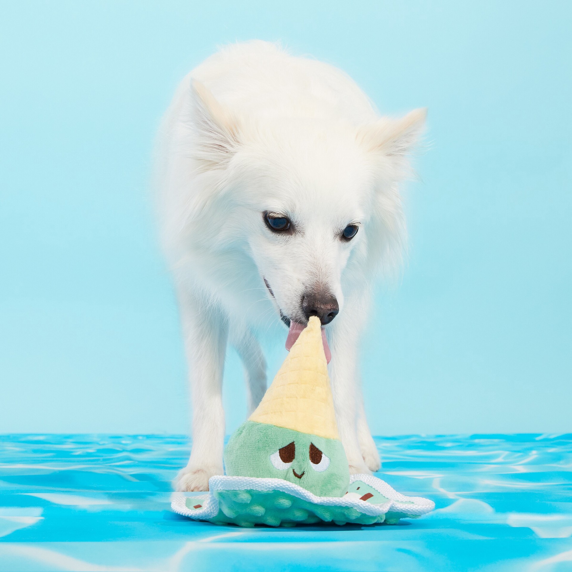 slide 4 of 5, BARK Pool Party Plush Dog Toy, 1 ct